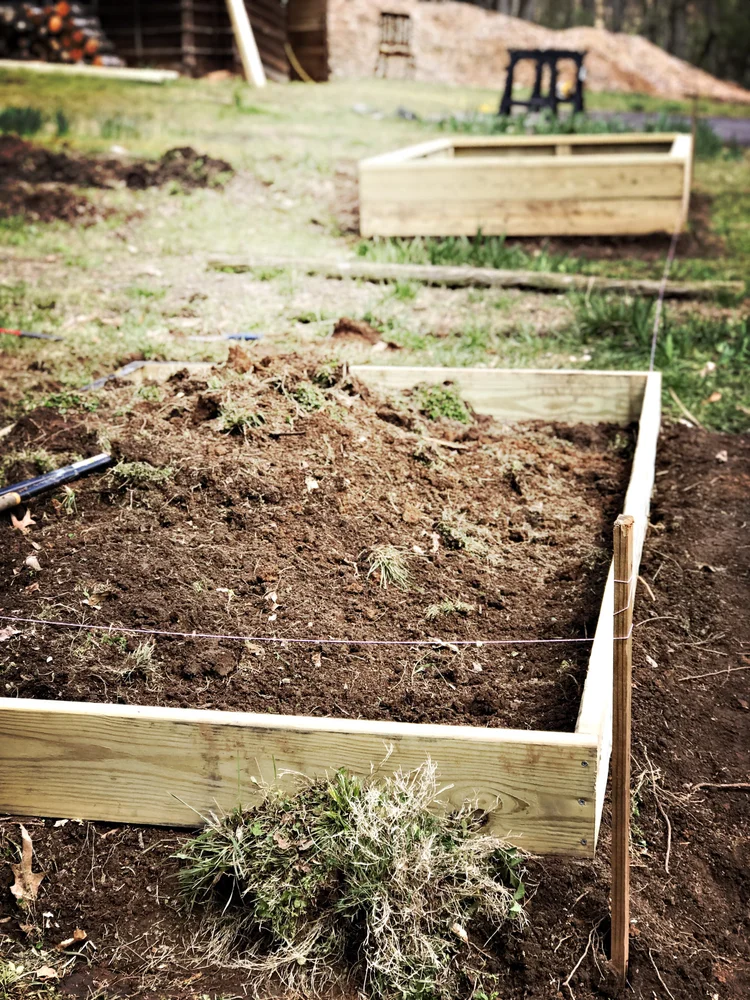 How Deep Should My Raised Garden Bed Be: Ultimate Depth Guide