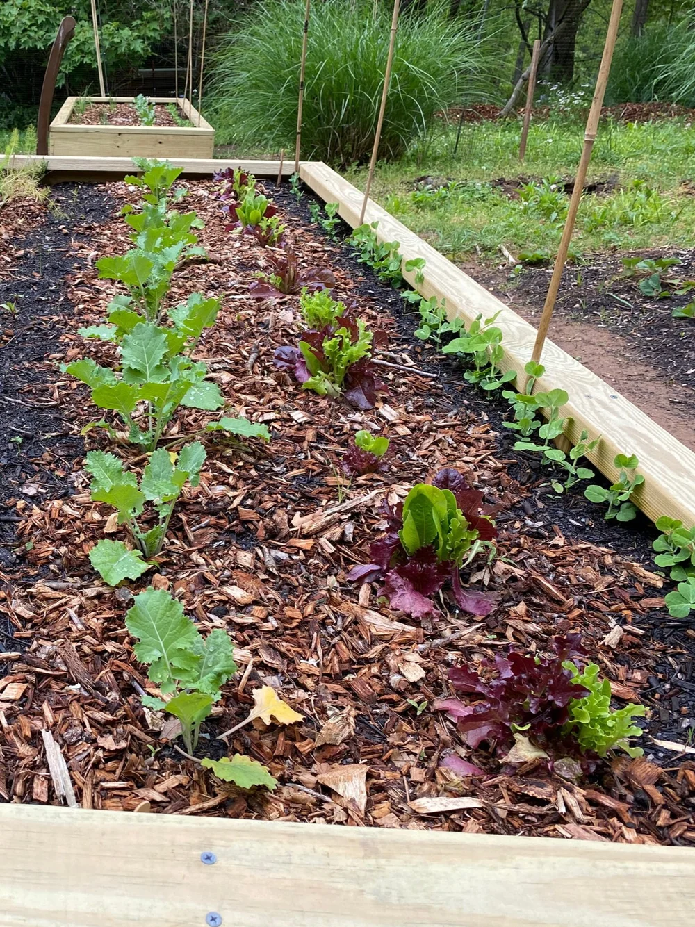 What to Mix With Garden Soil for Raised Bed: Ultimate Guide