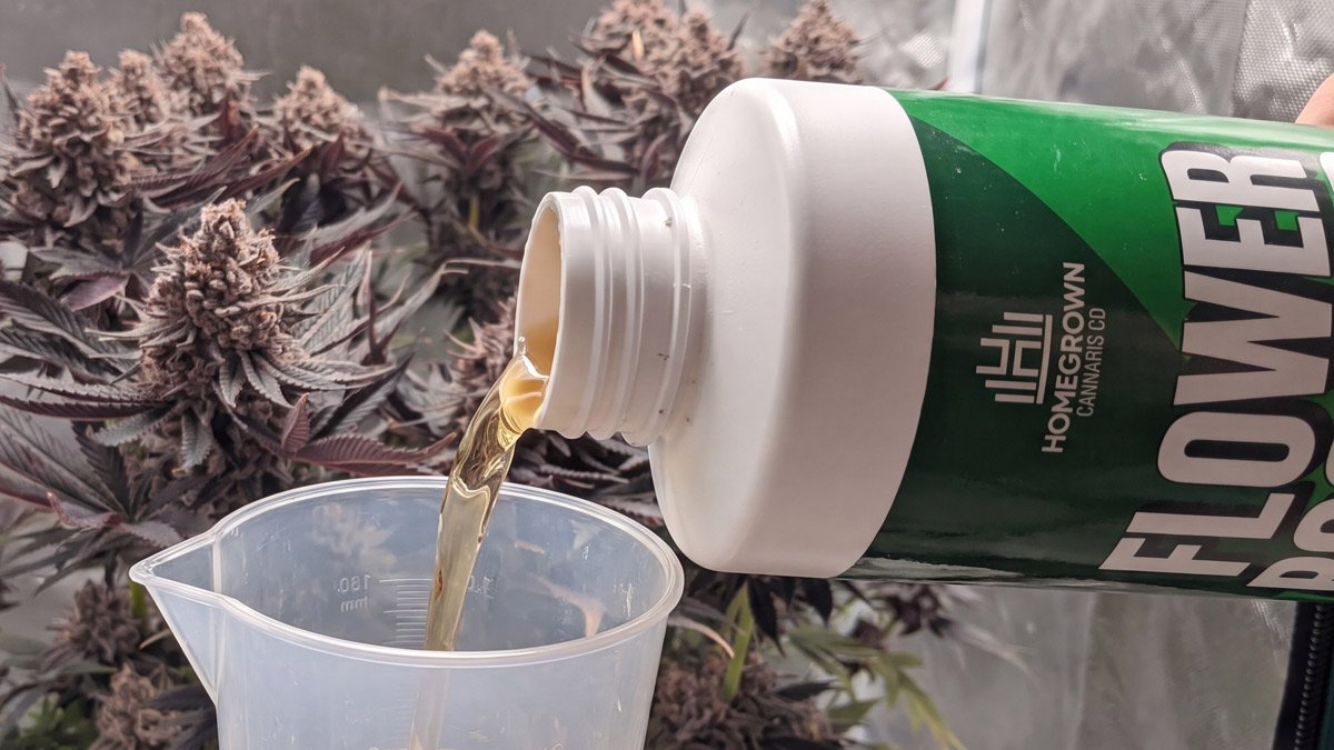 Homegrowncannabis flower booster