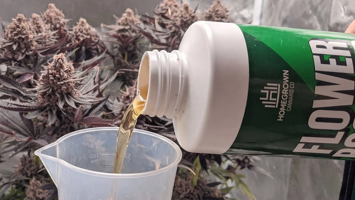 How Often to Fertilize Flowering Marijuana: A Stage-by-Stage Feeding Guide