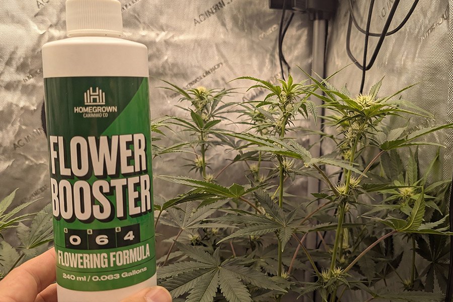 A hand showing the homegrown flower booster