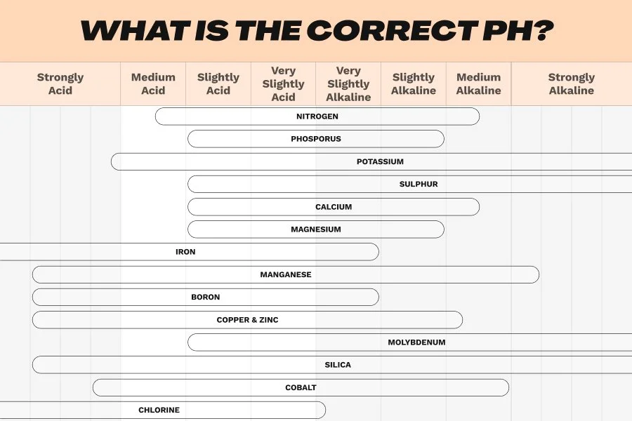 an illustration of the correct canabis ph
