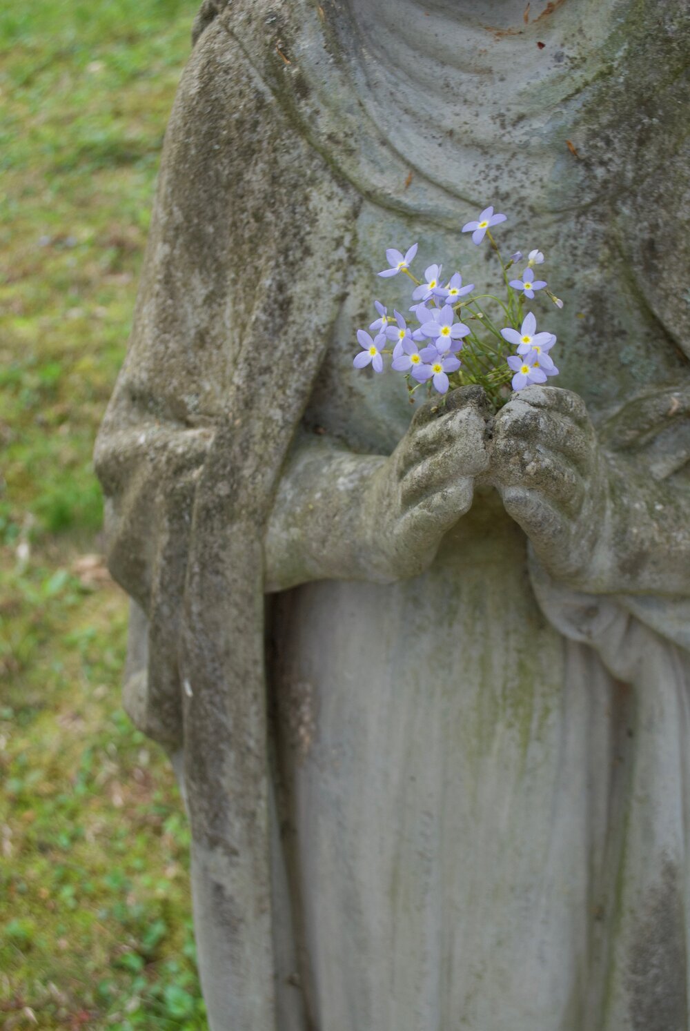 A detail of a cement sculpture, a headstone? The sculpture is close to the camera and its head and feet are beyond the edge of the frame. Its hands hover around a bunch of tiny purple flowers and the surrounding cement is faintly streaked green. The flowers and grass are contrasted by the weathered sculpture. Stone and stems are both natural objects, as are the rare earth minerals that power Tess’s camera. Different scales of time are well represented here.