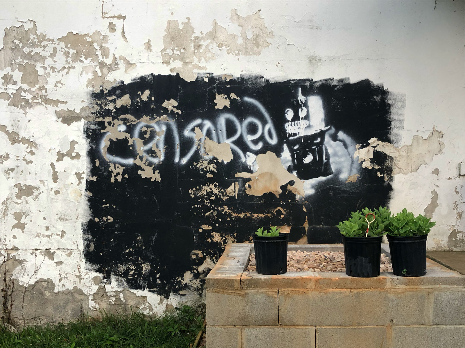 6946ECEE-5DB0-4E54-A72B-A101DF74E1DA.jpg