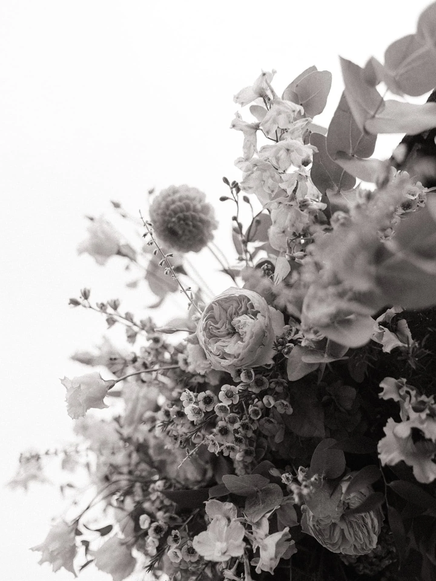Six guests, one secret garden, and zero pressure to please anyone but themselves. They swapped a ballroom for a greenhouse, a string quartet for Paramore&hellip; and it was pure magic 🤍

@secretgardenkent 
@perfectedbypoppy
@chilhambridal 
@karenane