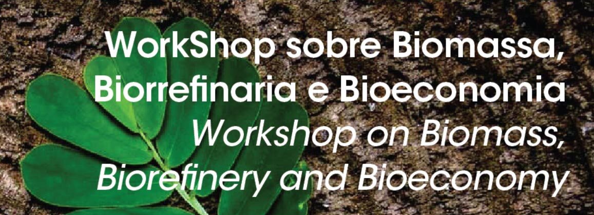 Workshop on Biomass.jpg