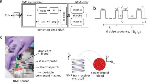 Fig. 1: Two-dimensional NMR&nbsp;T1-T2&nbsp;correlational spectroscopy for molecular phenotyping of blood.