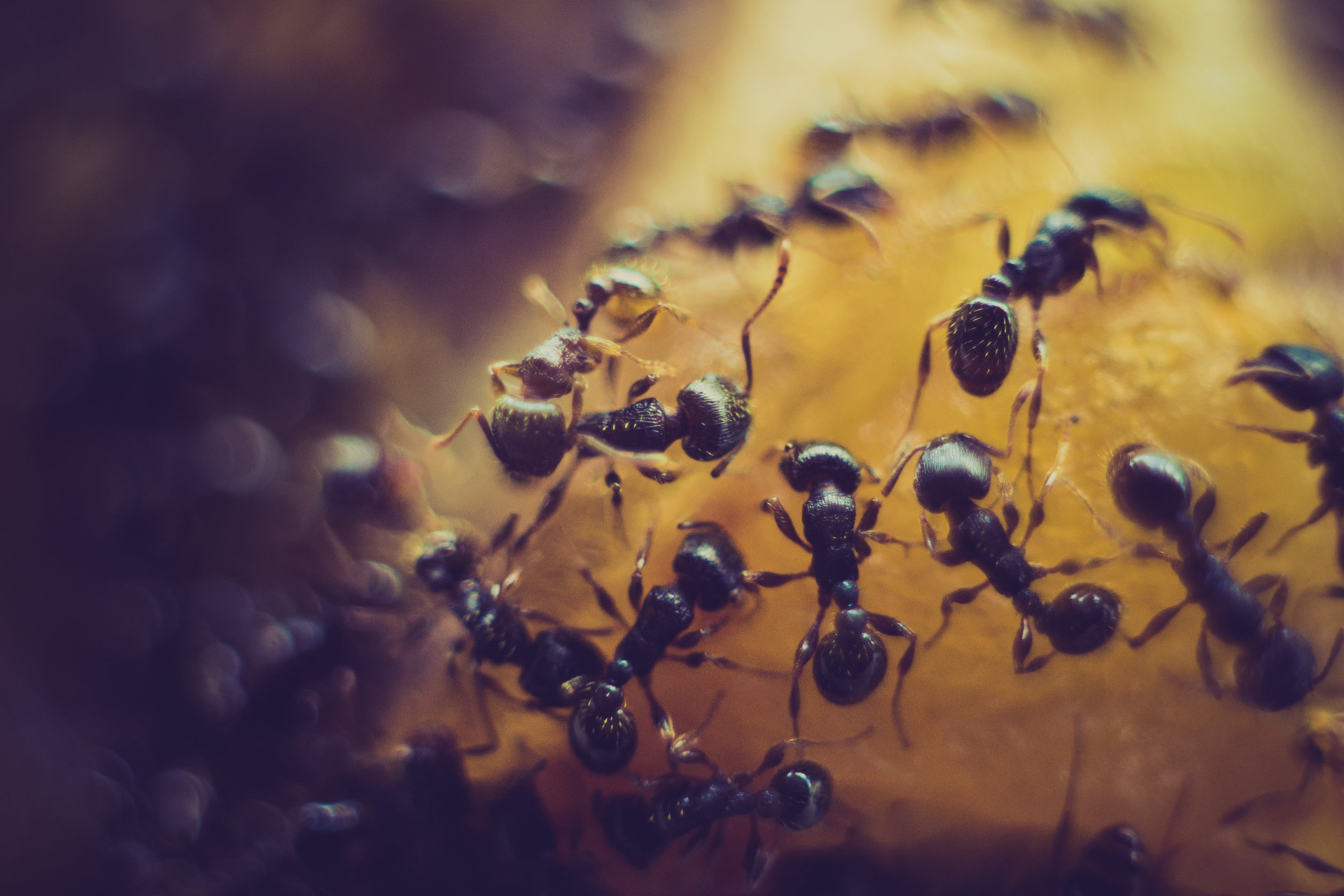 A Simple Idea Towards Greater Team Self-organization