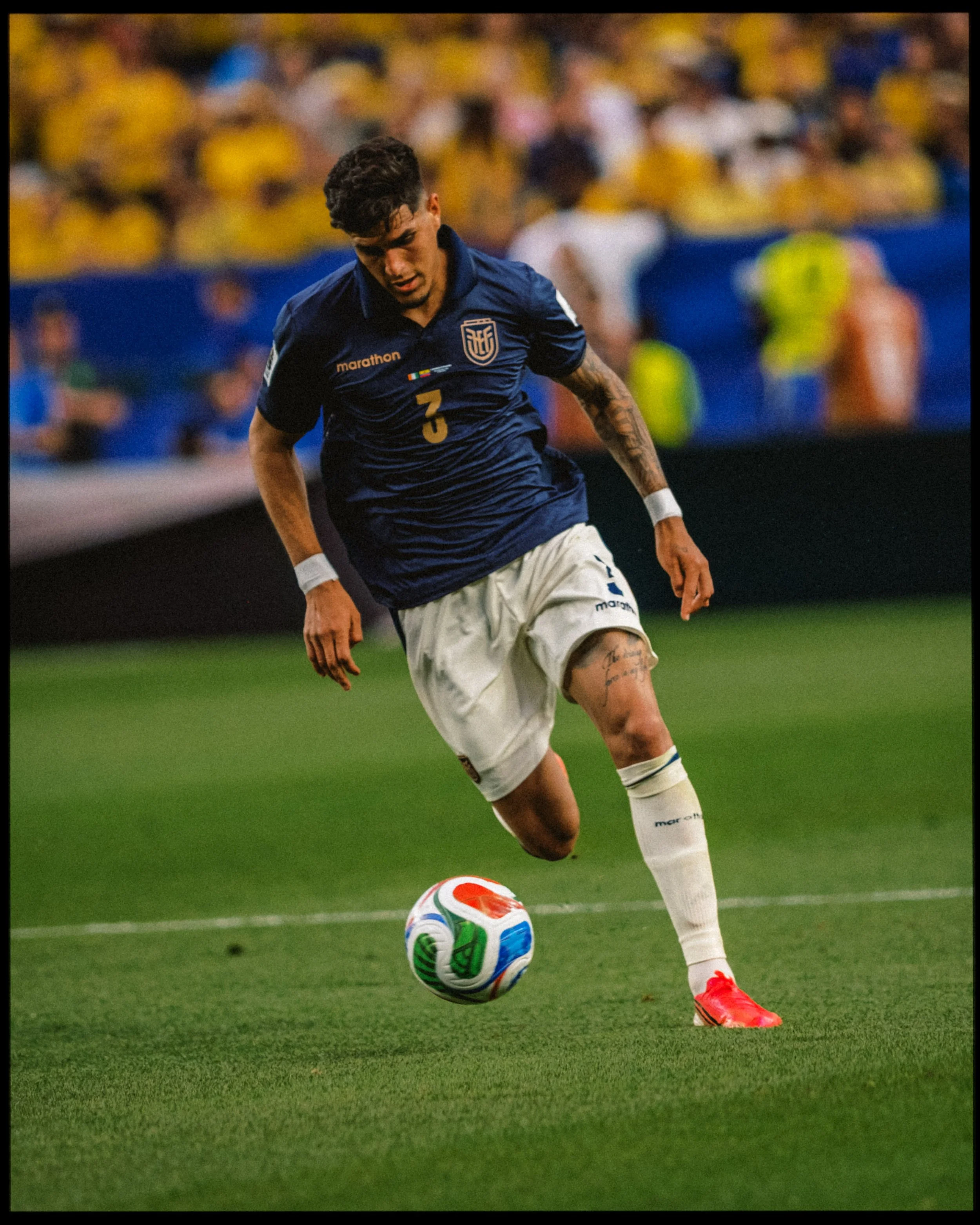 DSCF8548.jpg