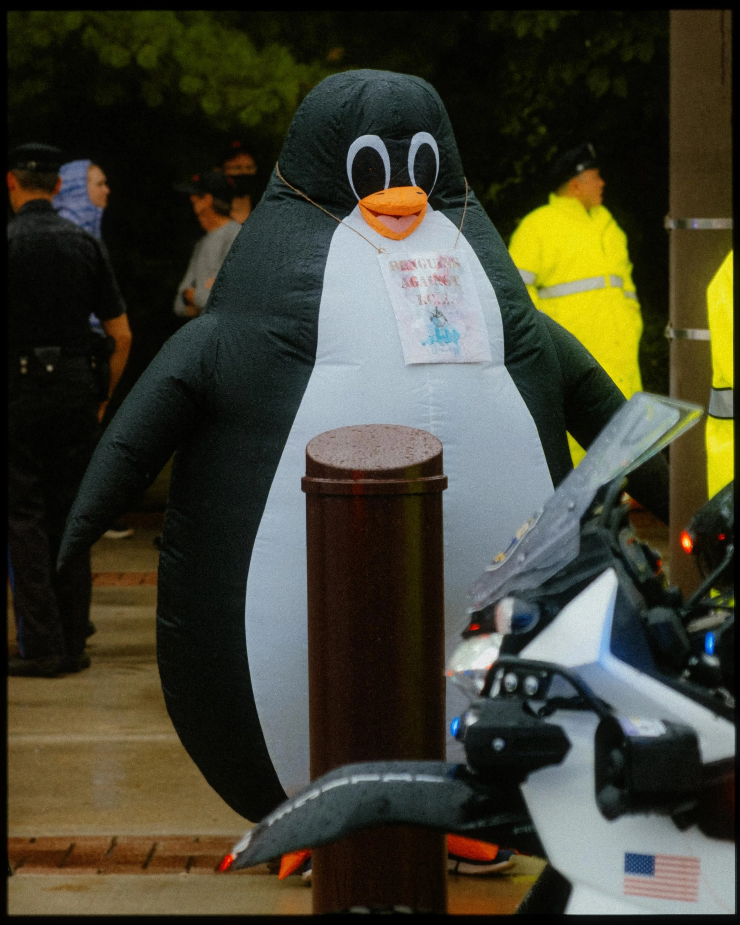 DSCF8585.jpg