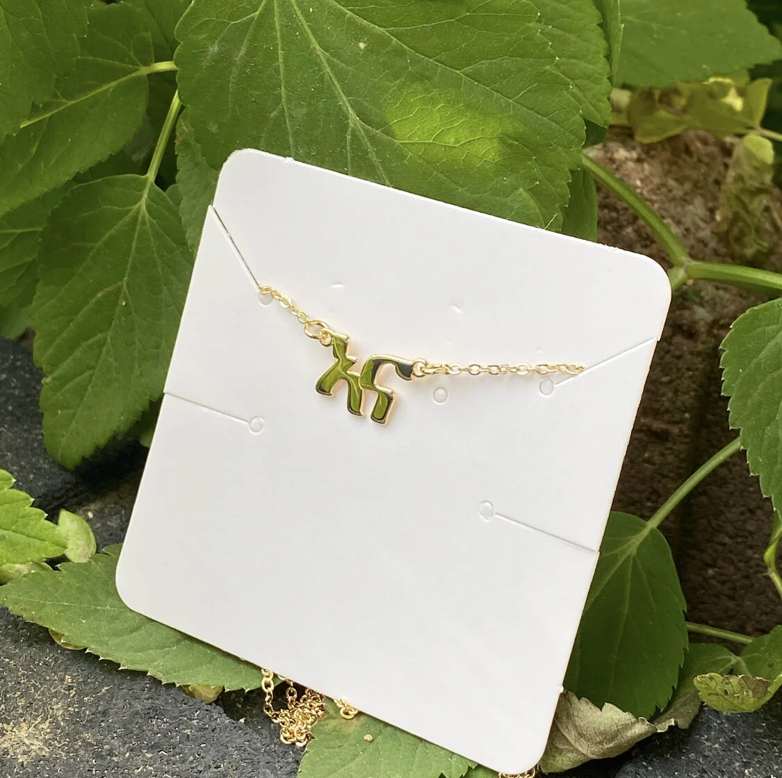 5019A4FB-25C6-4A19-8DDC-DC390517662E