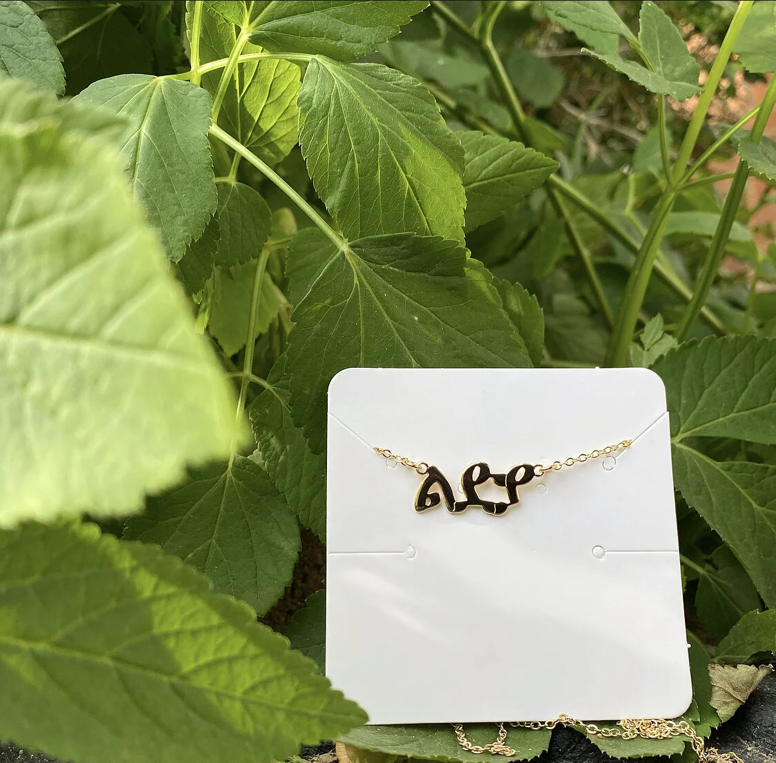 B2B5C990-BD6F-493A-982D-F9705191C443