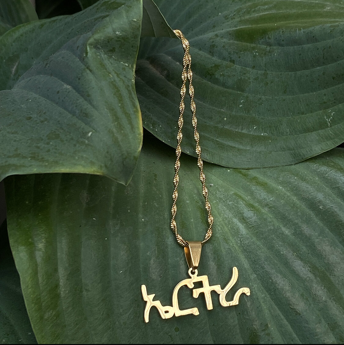 105806B3-66BA-4CD0-9ED3-3BD1E9E112EF