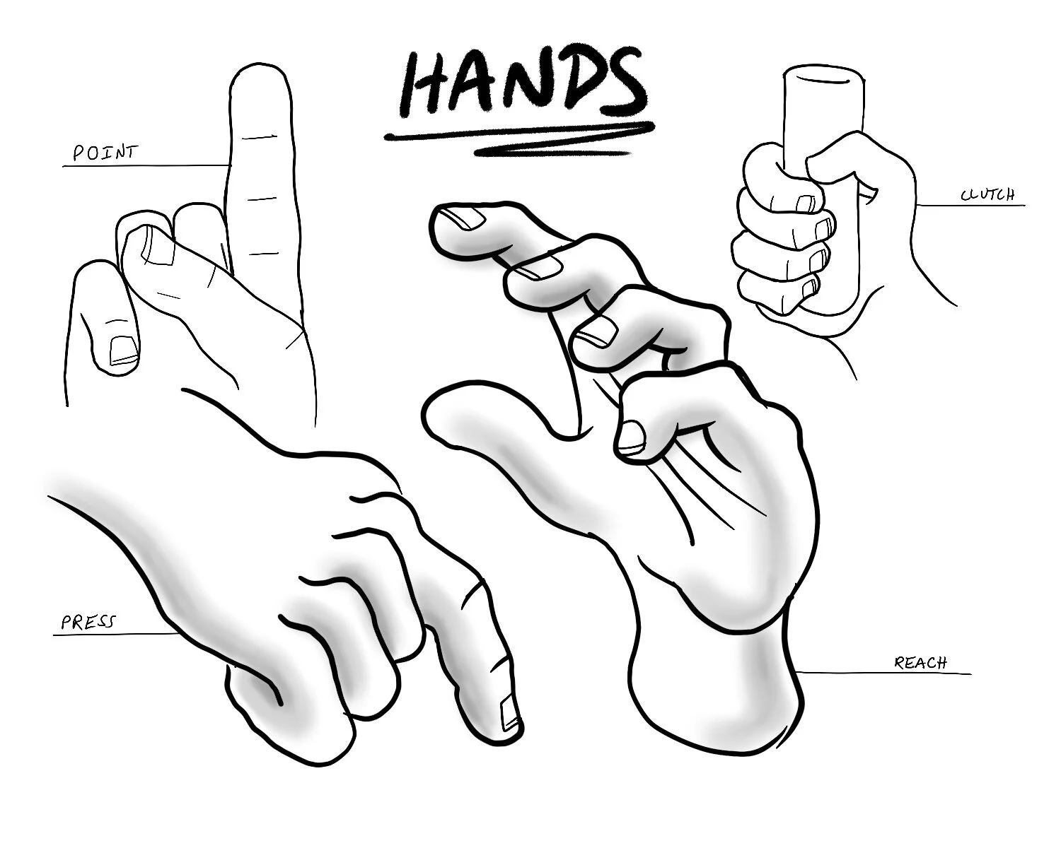 Hands2Procreate2.jpg