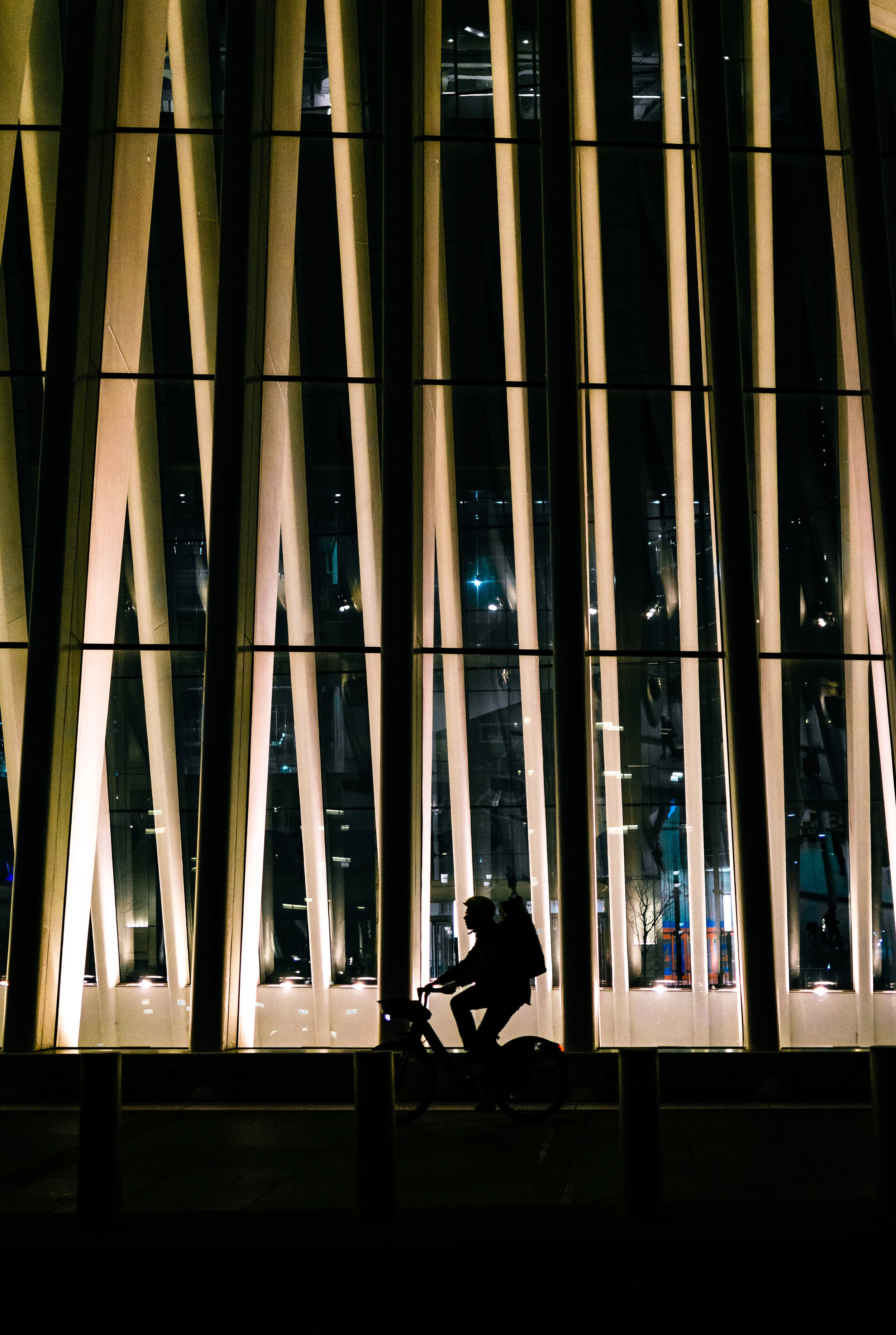 Illuminated By Night