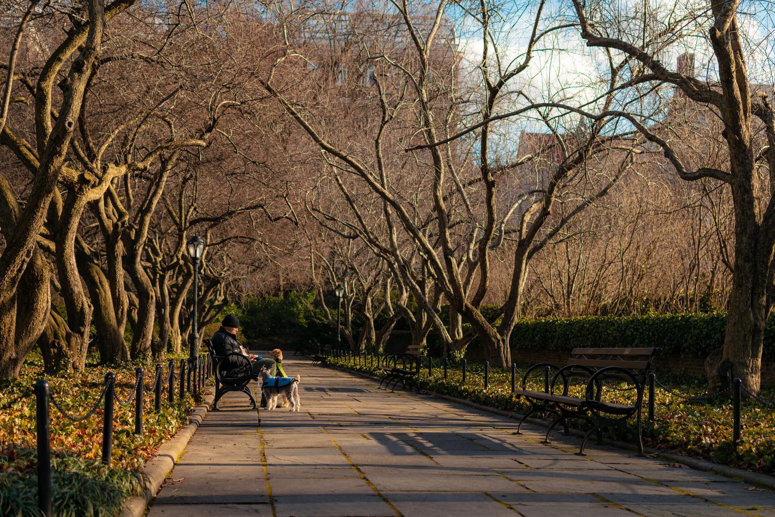 A Man's Best Friends