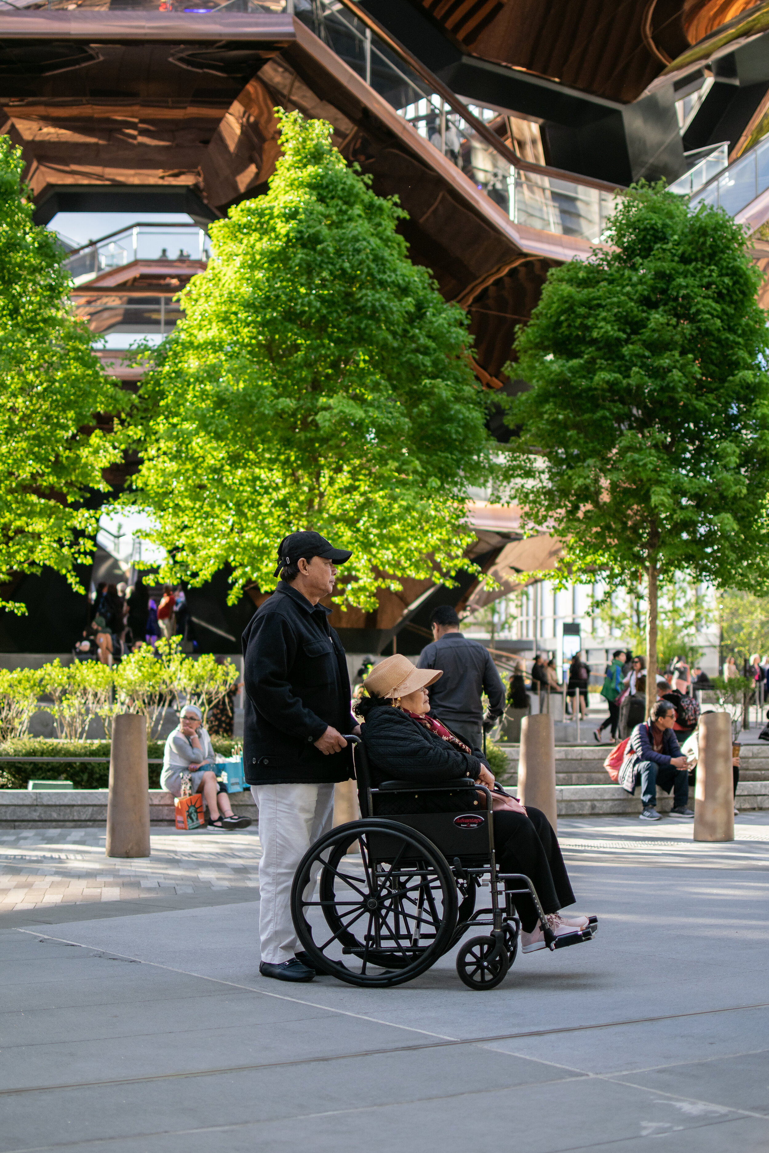 Taking It All In.jpg