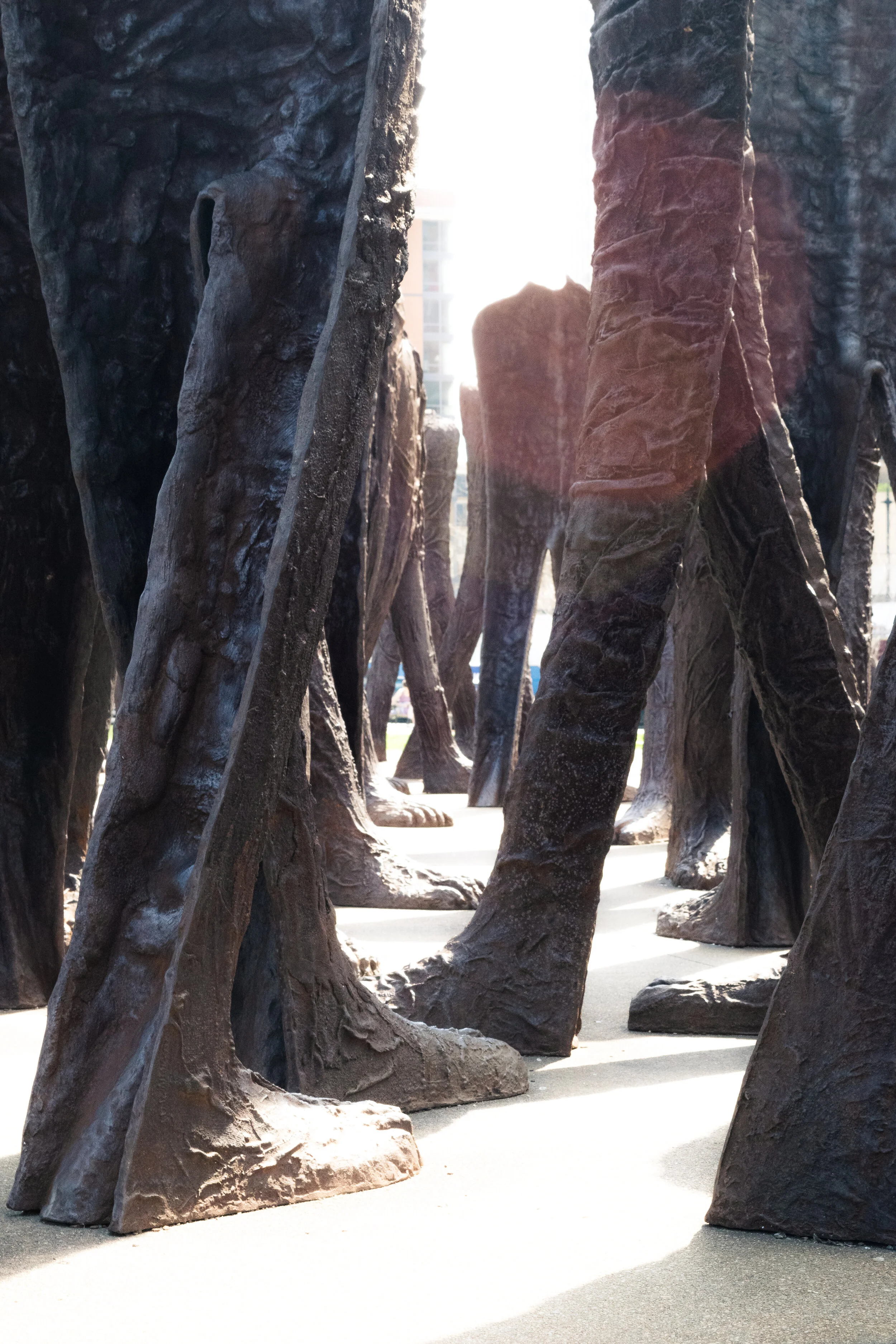 Among The Giants.jpg