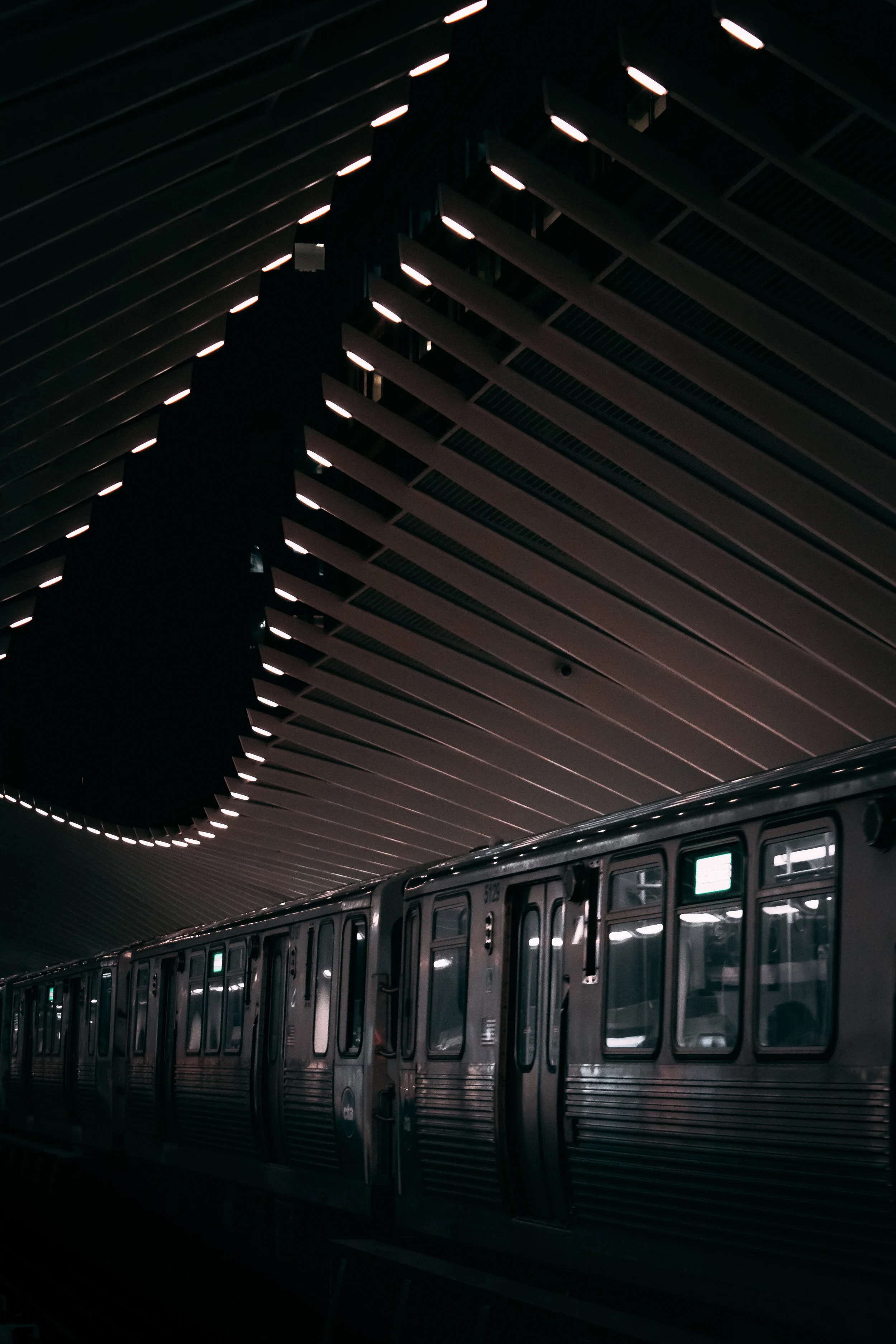 Lightspeed Travels.jpg