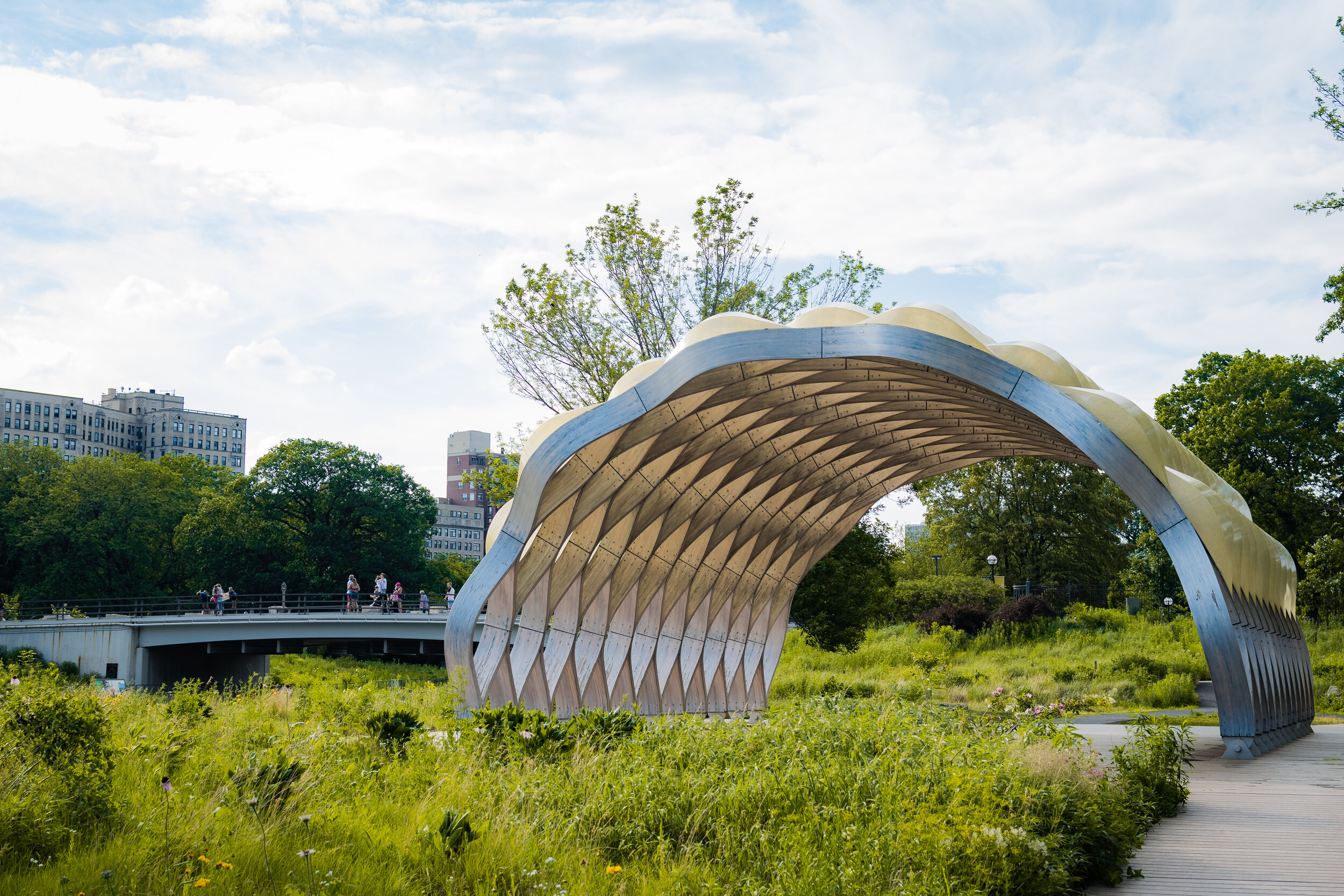 Lincoln Park Honeycomb.jpg