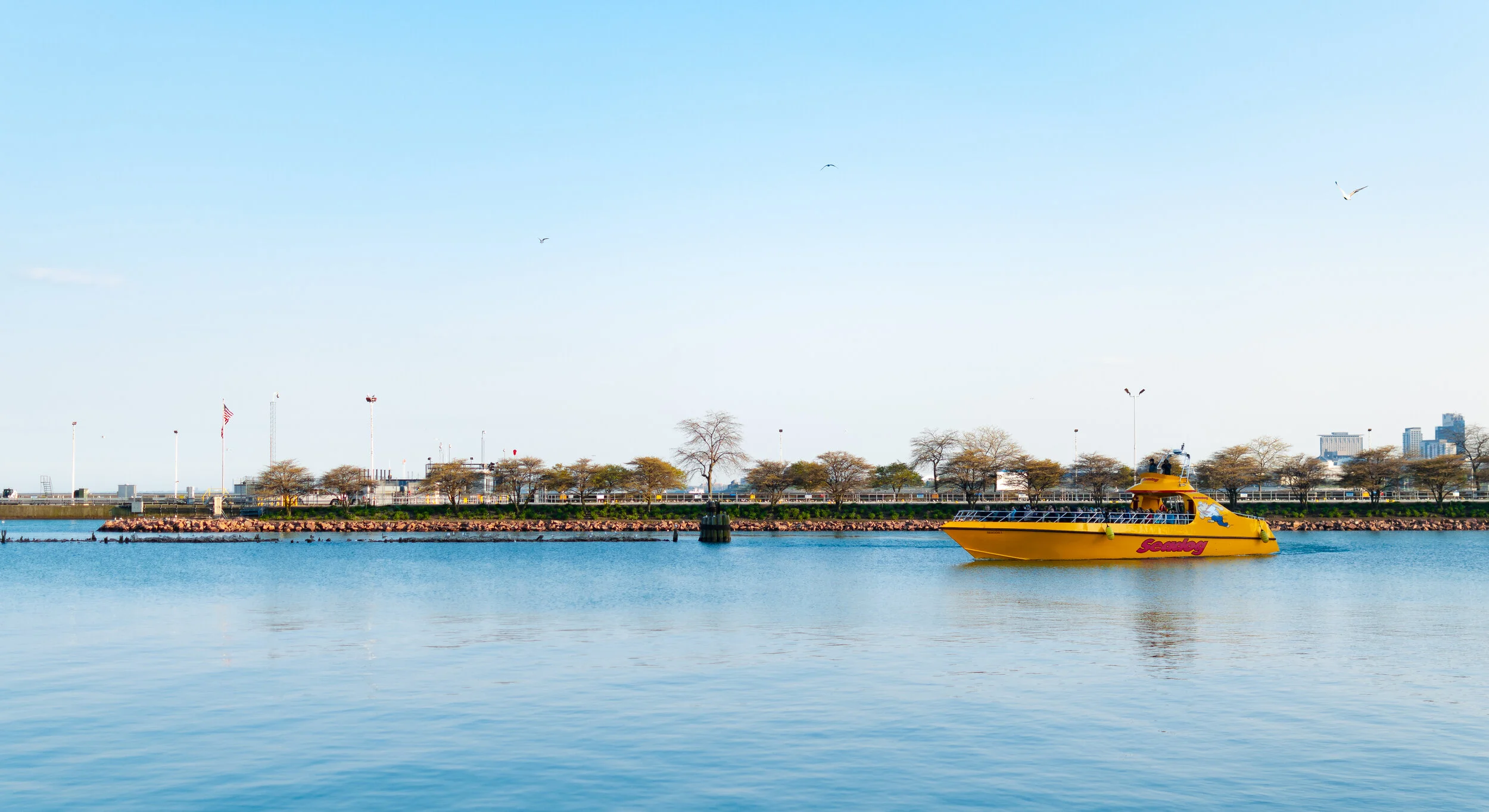 Seadog On The Horizon.jpg