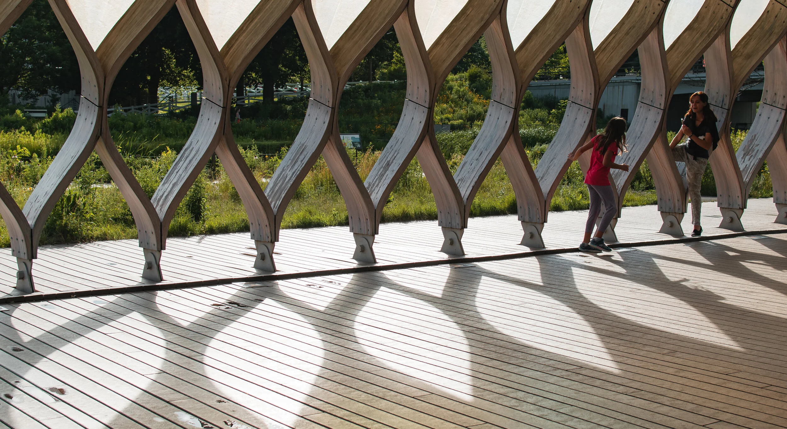 Shadows Of Youth.jpg