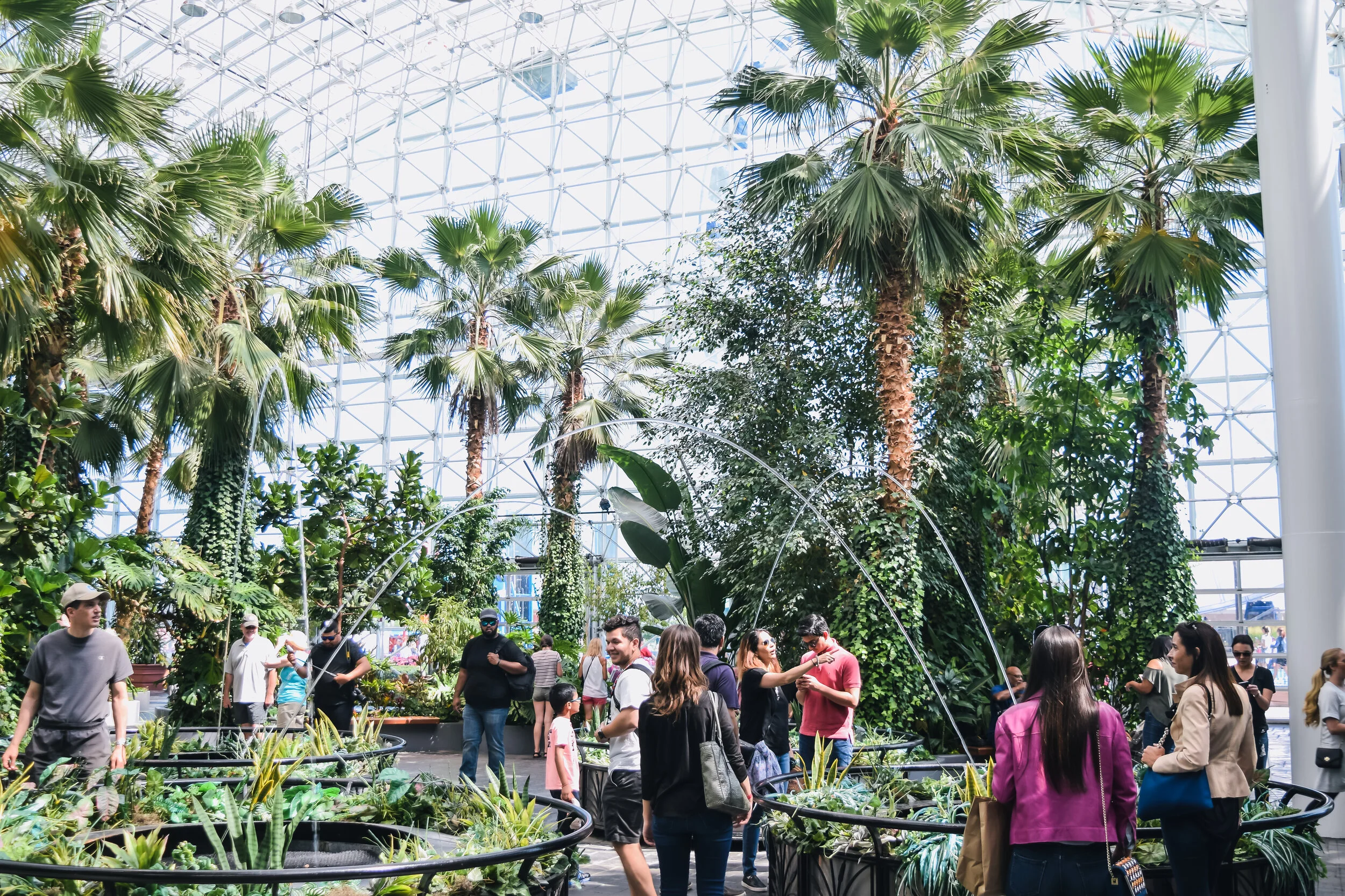 Slice Of Paradise.jpg