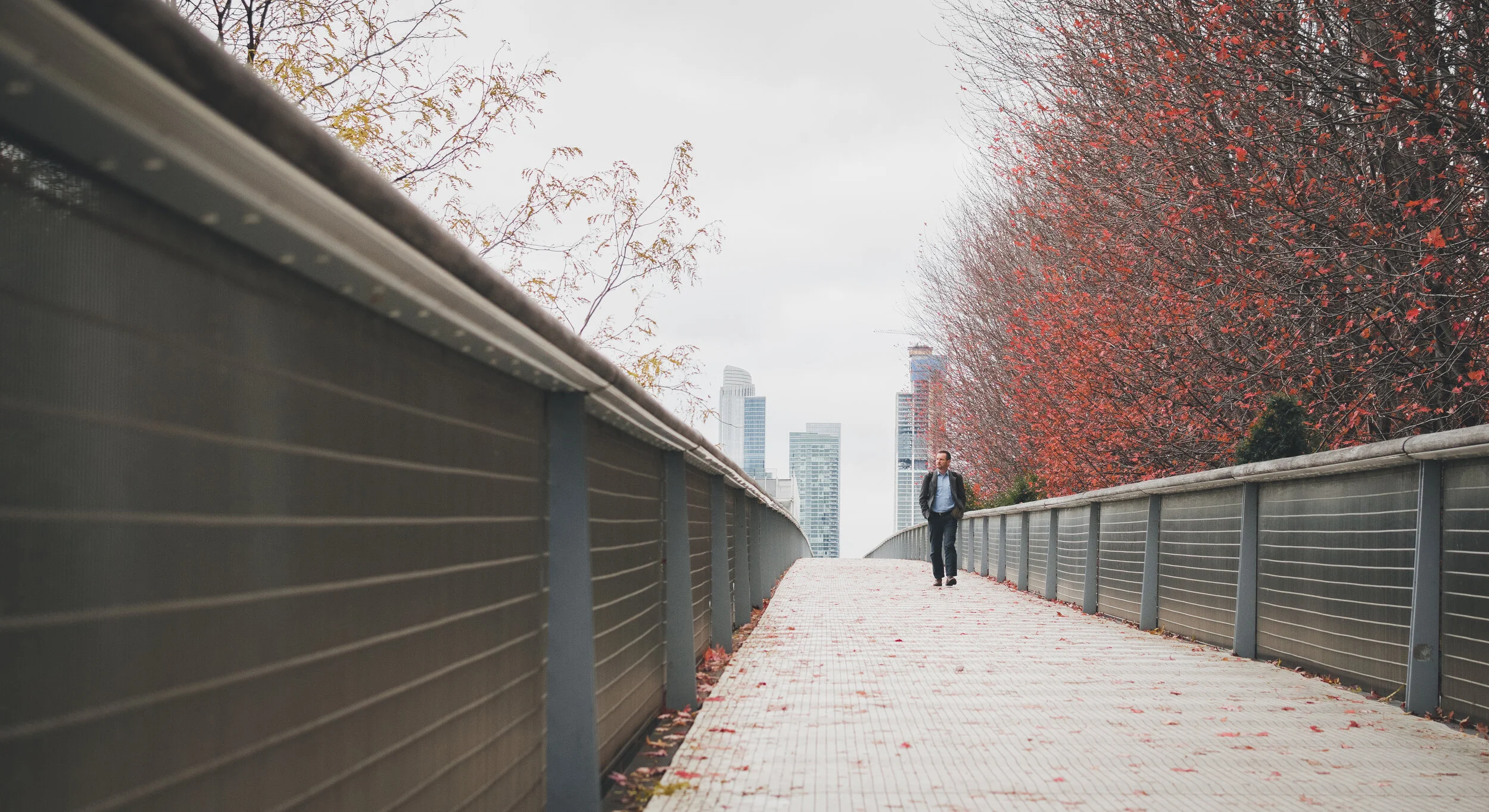 Trip Down Memory Lane.jpg