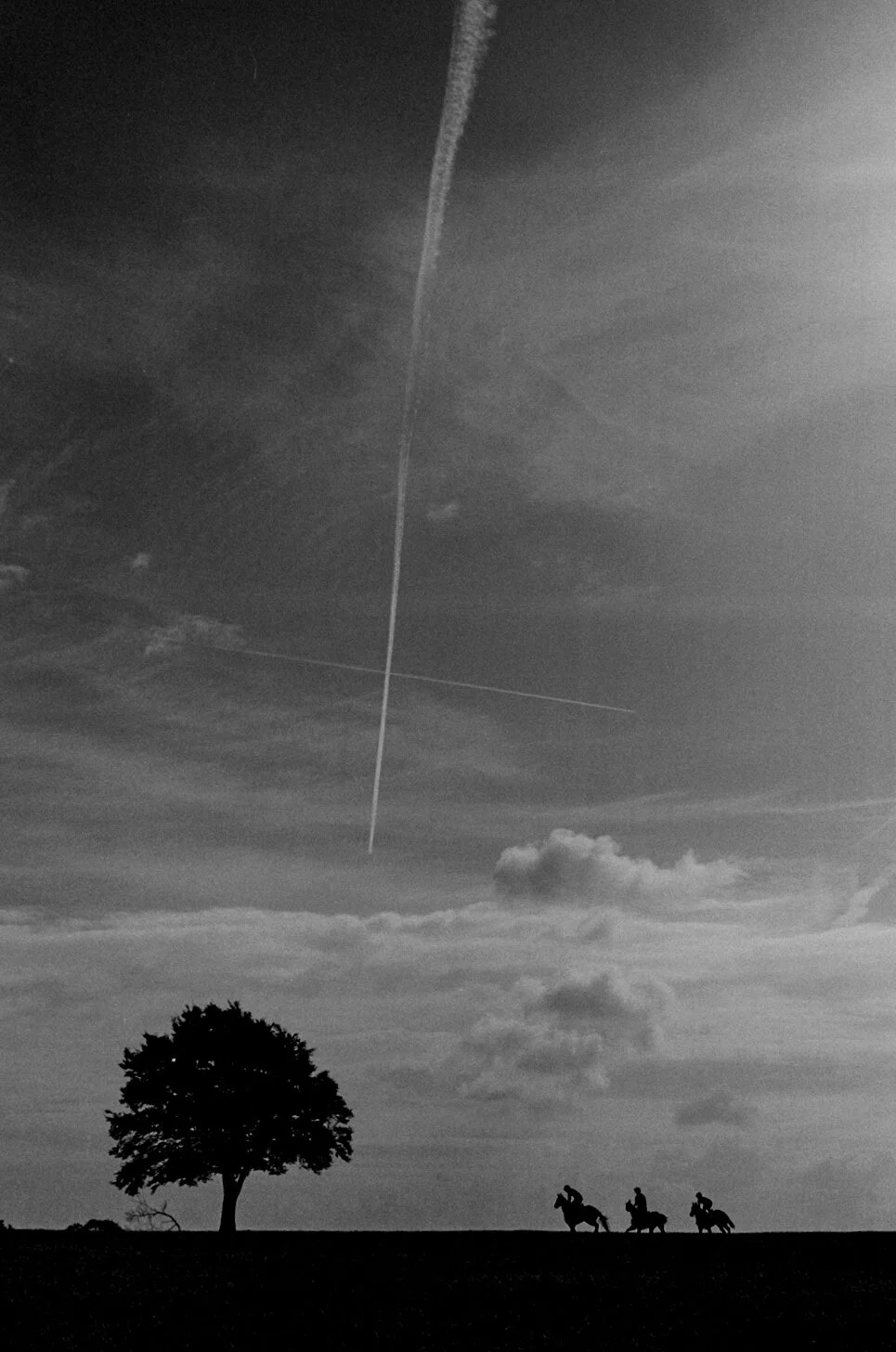 Untitled, Homogenitus, Golborne Gallery, London, 2018