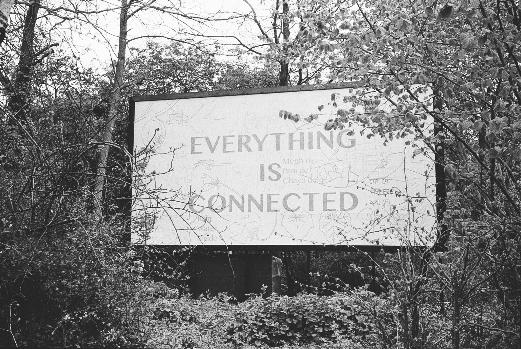 Untitled, London, 2020