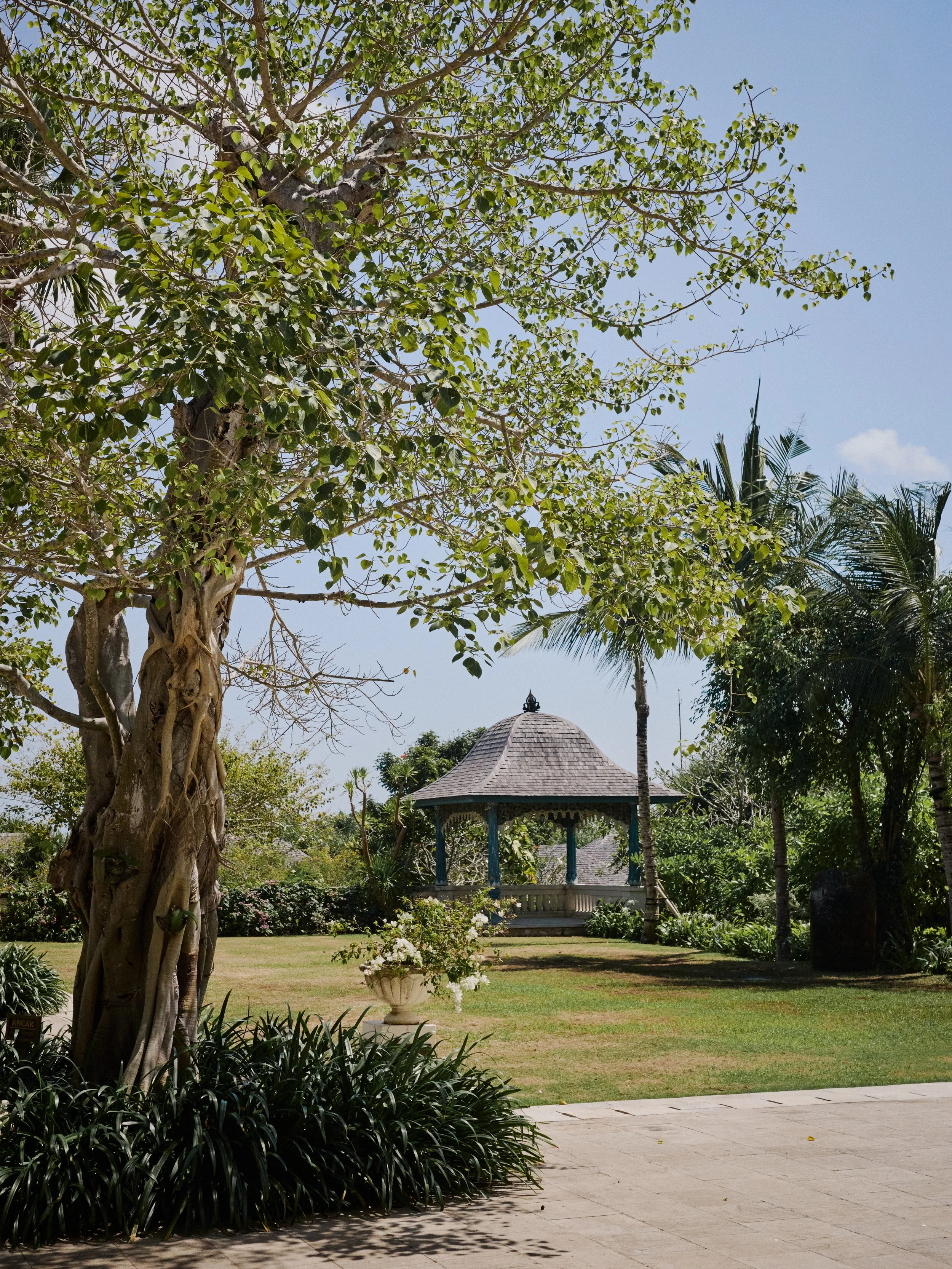 R0016958_0026.jpg