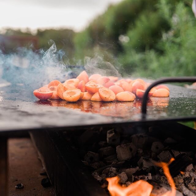 Grilled stone fruit my inspiration for this weekends cook. 📷 @dannynorthphoto #peach #nectarine #grill #smoke #caramel #fruit #salad #plancha #hiddenhut #beach #icecream
