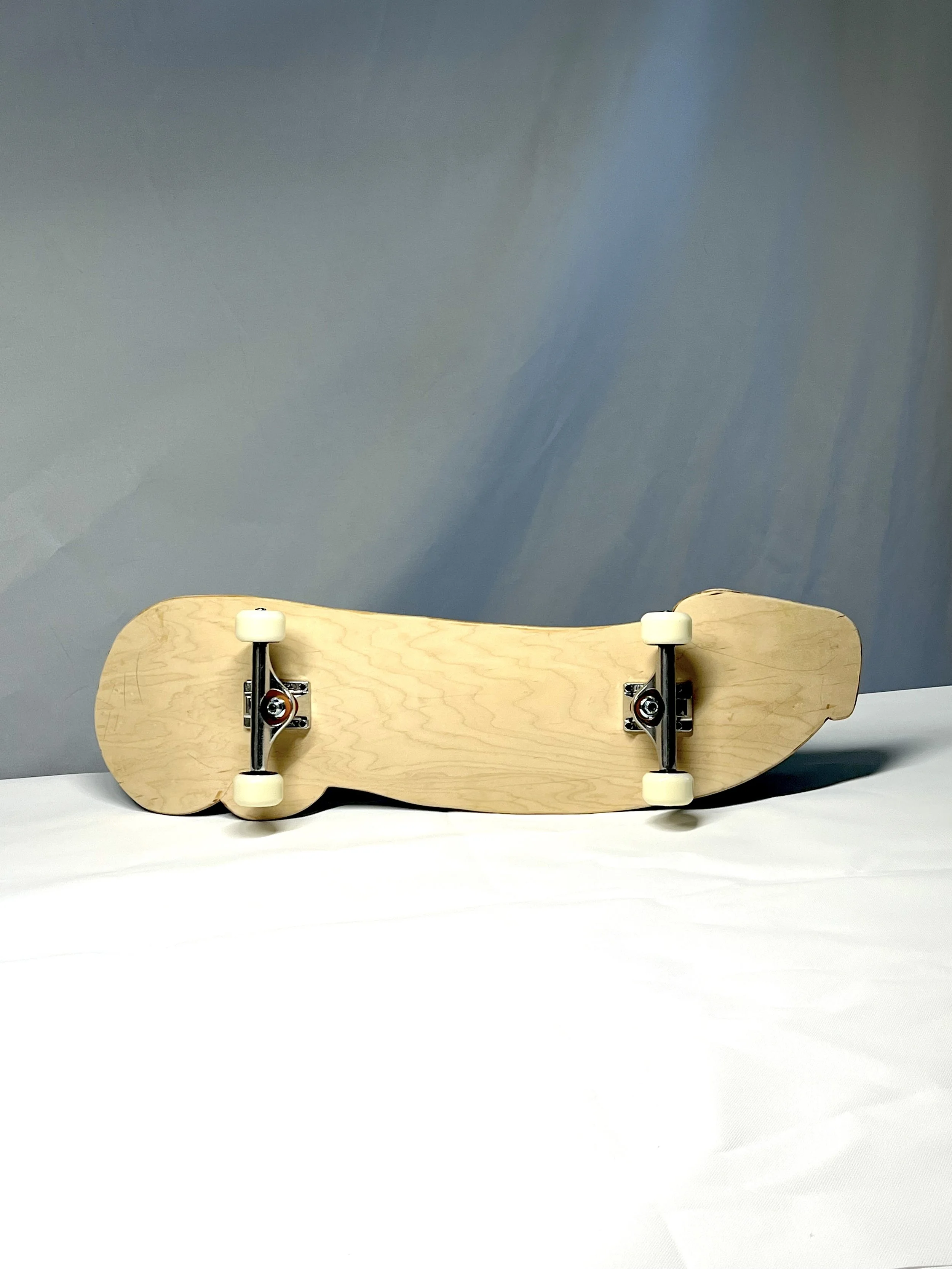 DickDeck bottom.JPG