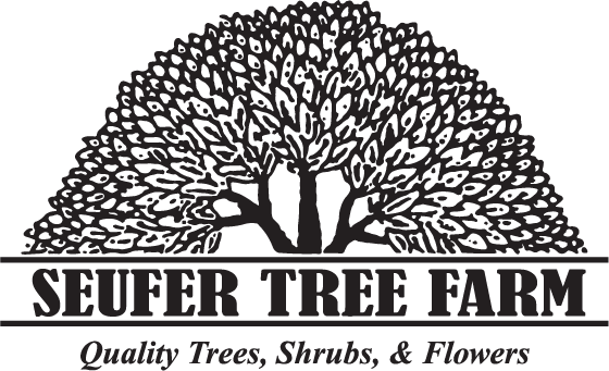 Seufer Tree Farm