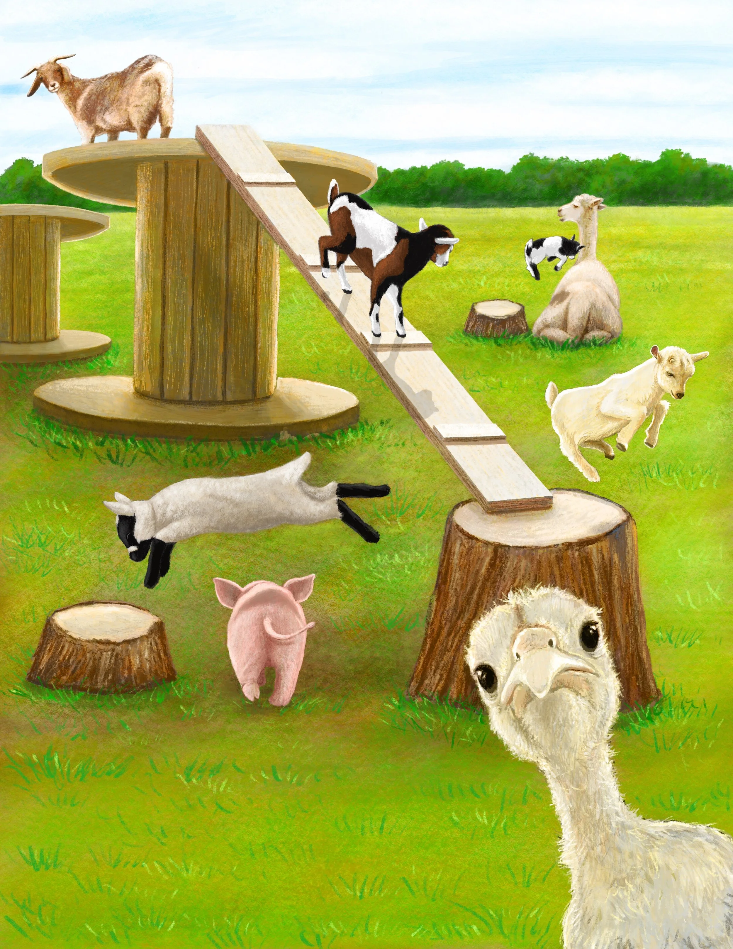 The Playground