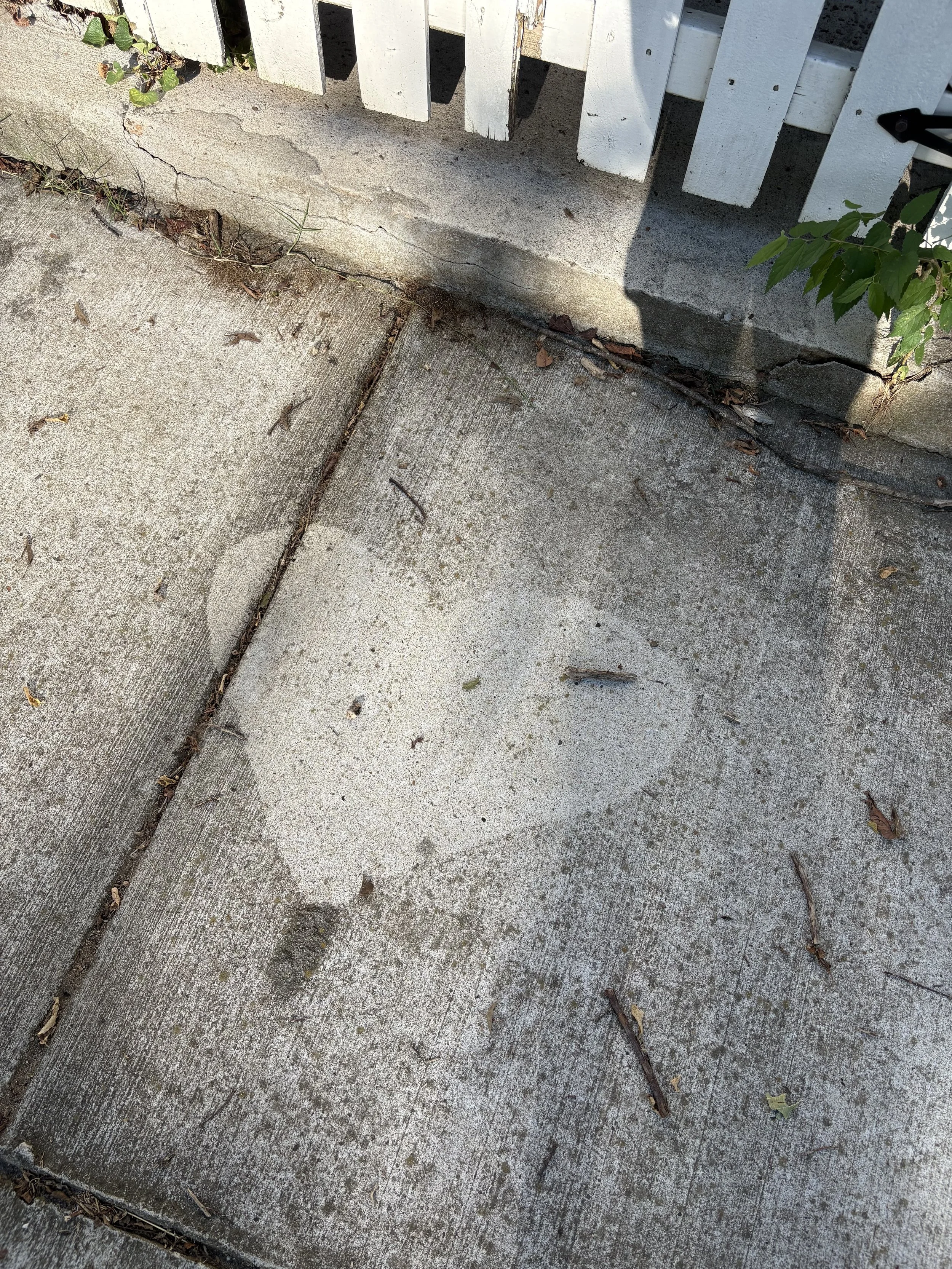 IMG_1384.jpeg