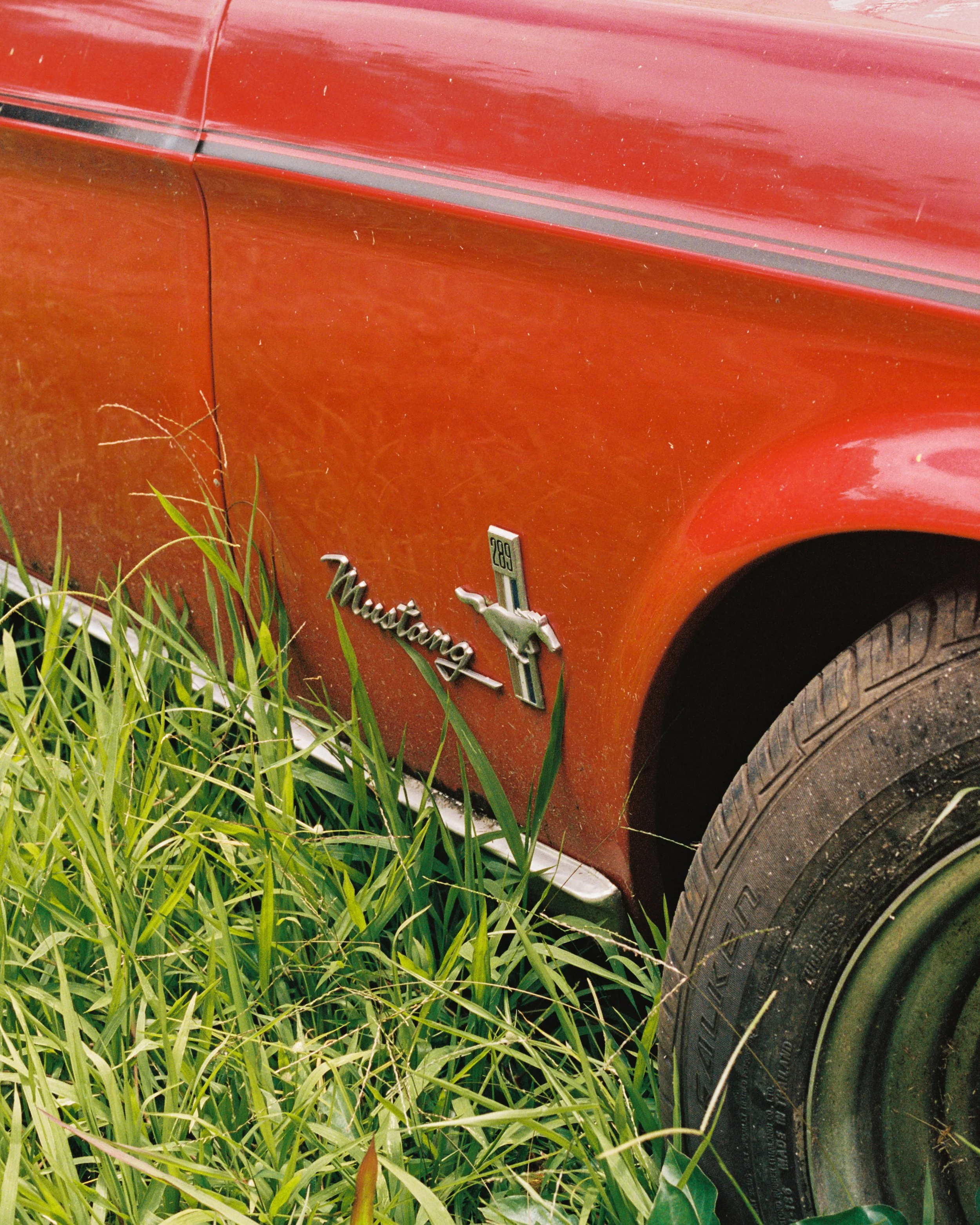 Minolta Hawaii Portra 400-1.JPG