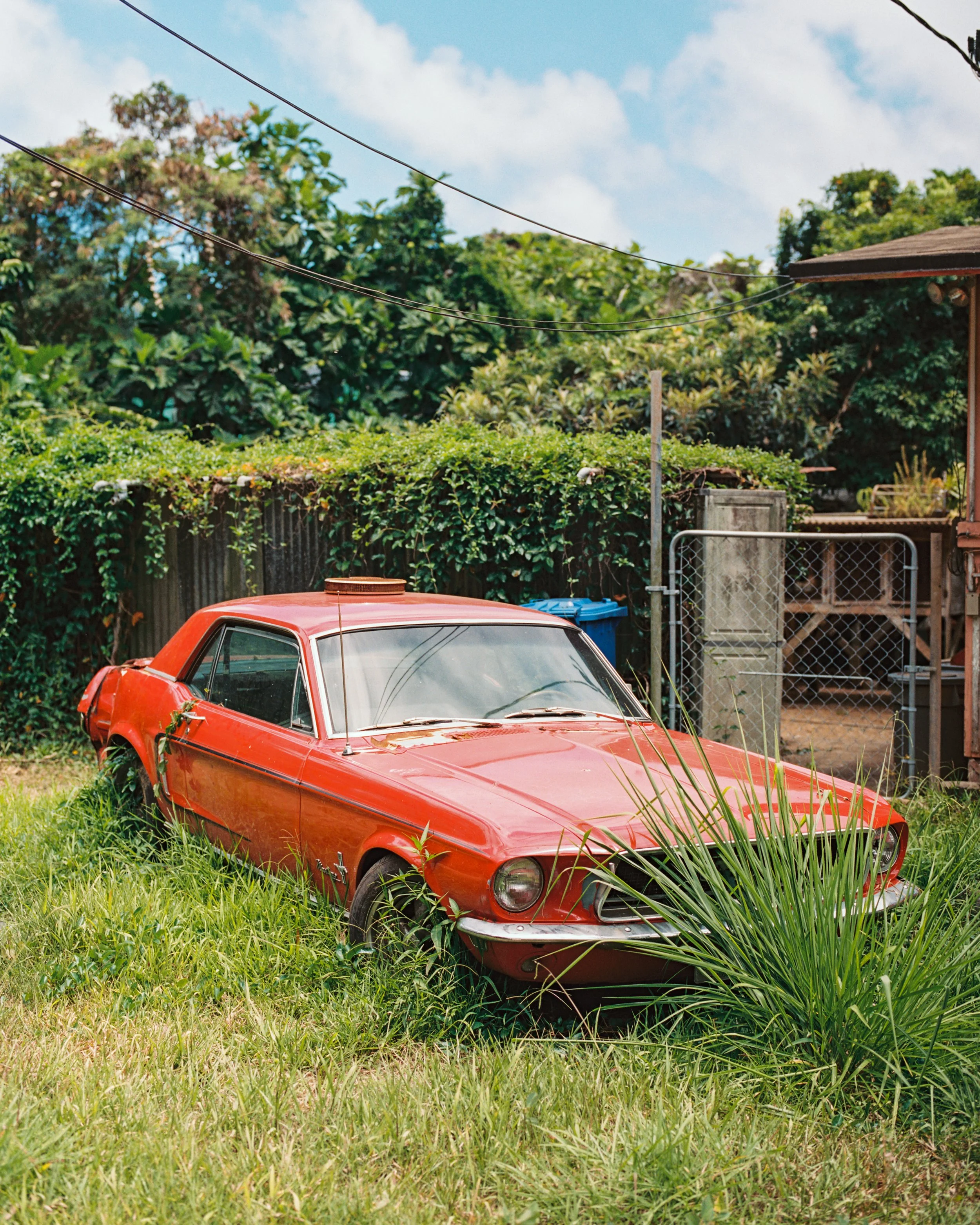 Mamiya Hawaii Portra 400-9.JPG
