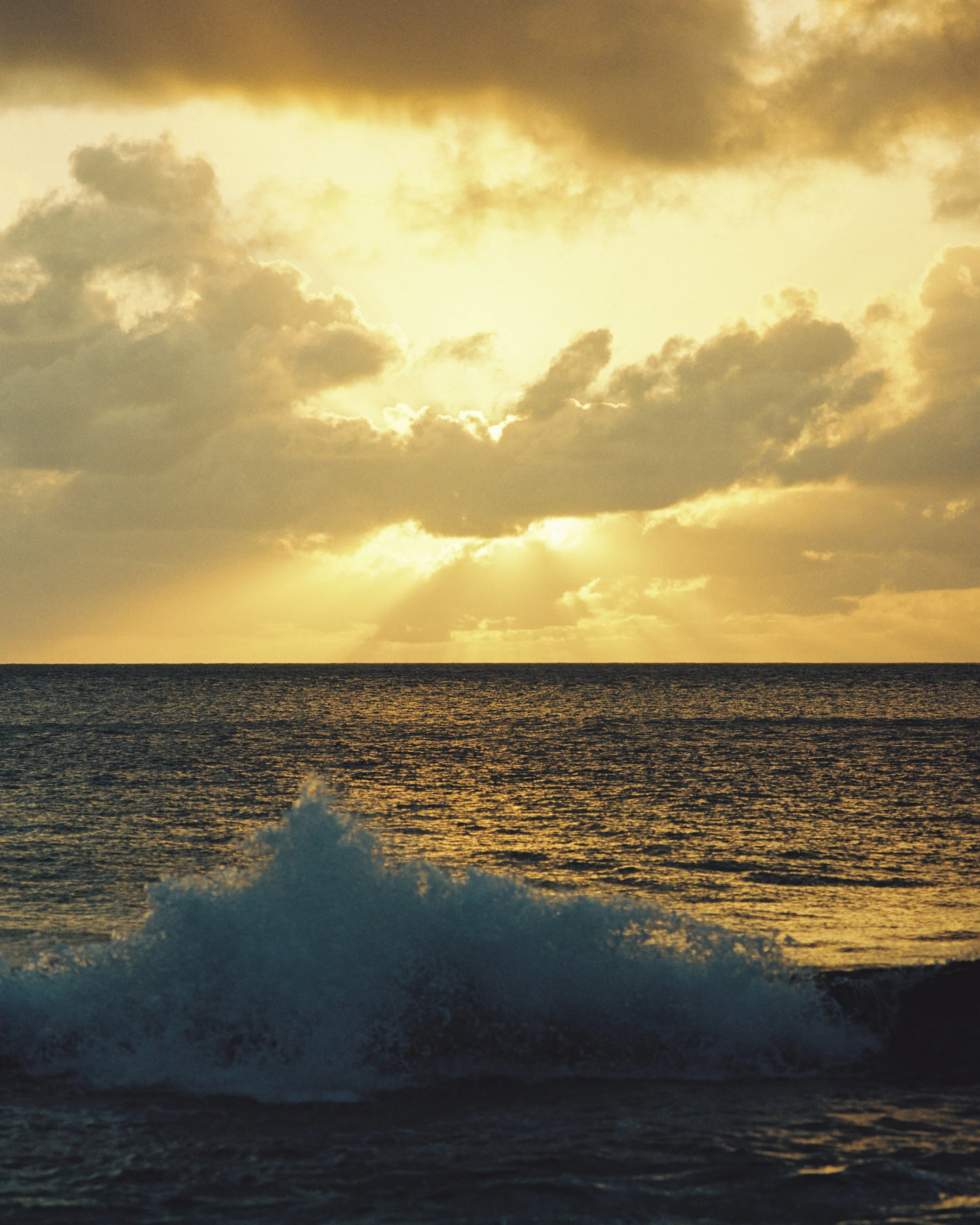 Mamiya Hawaii Gold 200-8.JPG