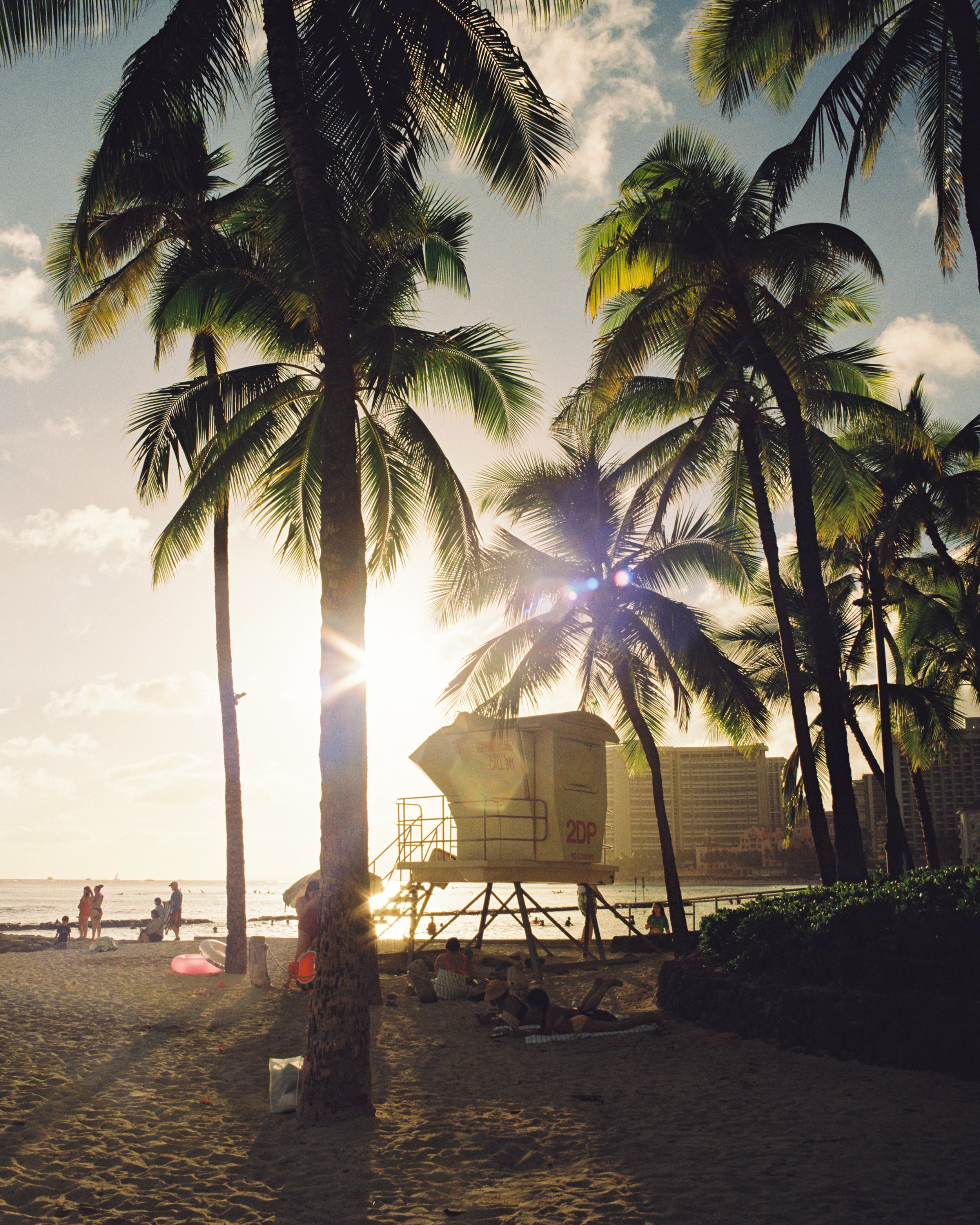 Mamiya Hawaii Gold 200-3.JPG