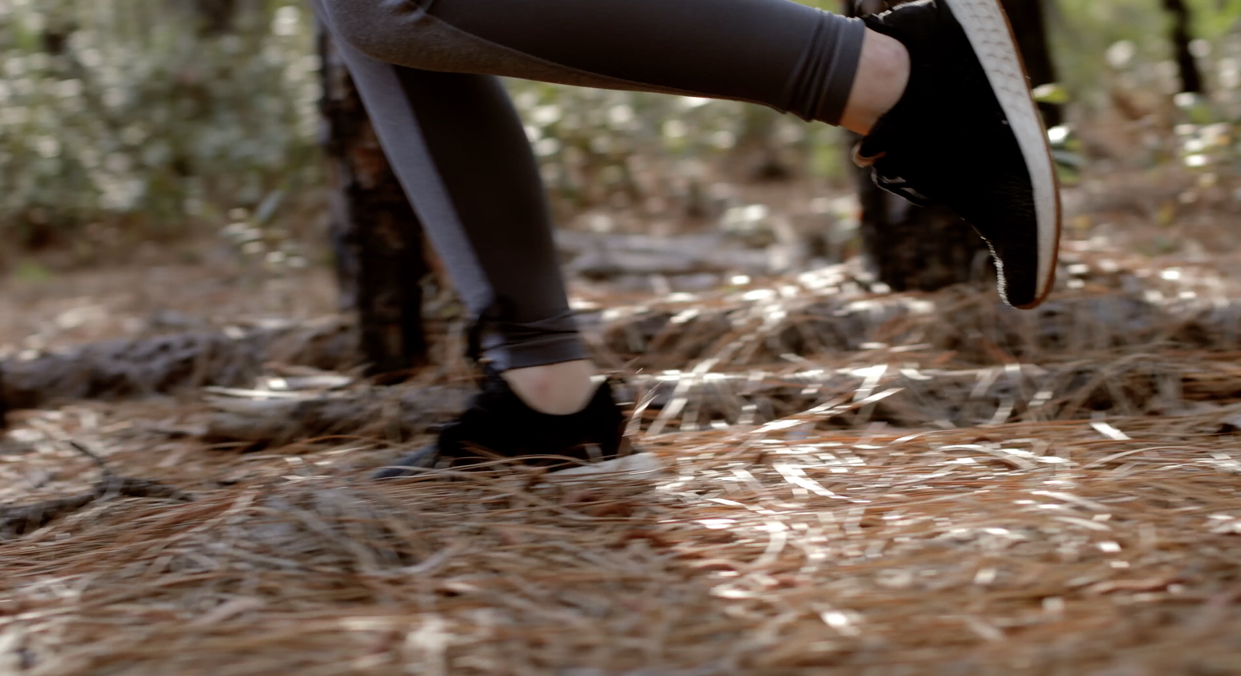 Screen Shot 2022-06-17 at 1.13.37 PM.png