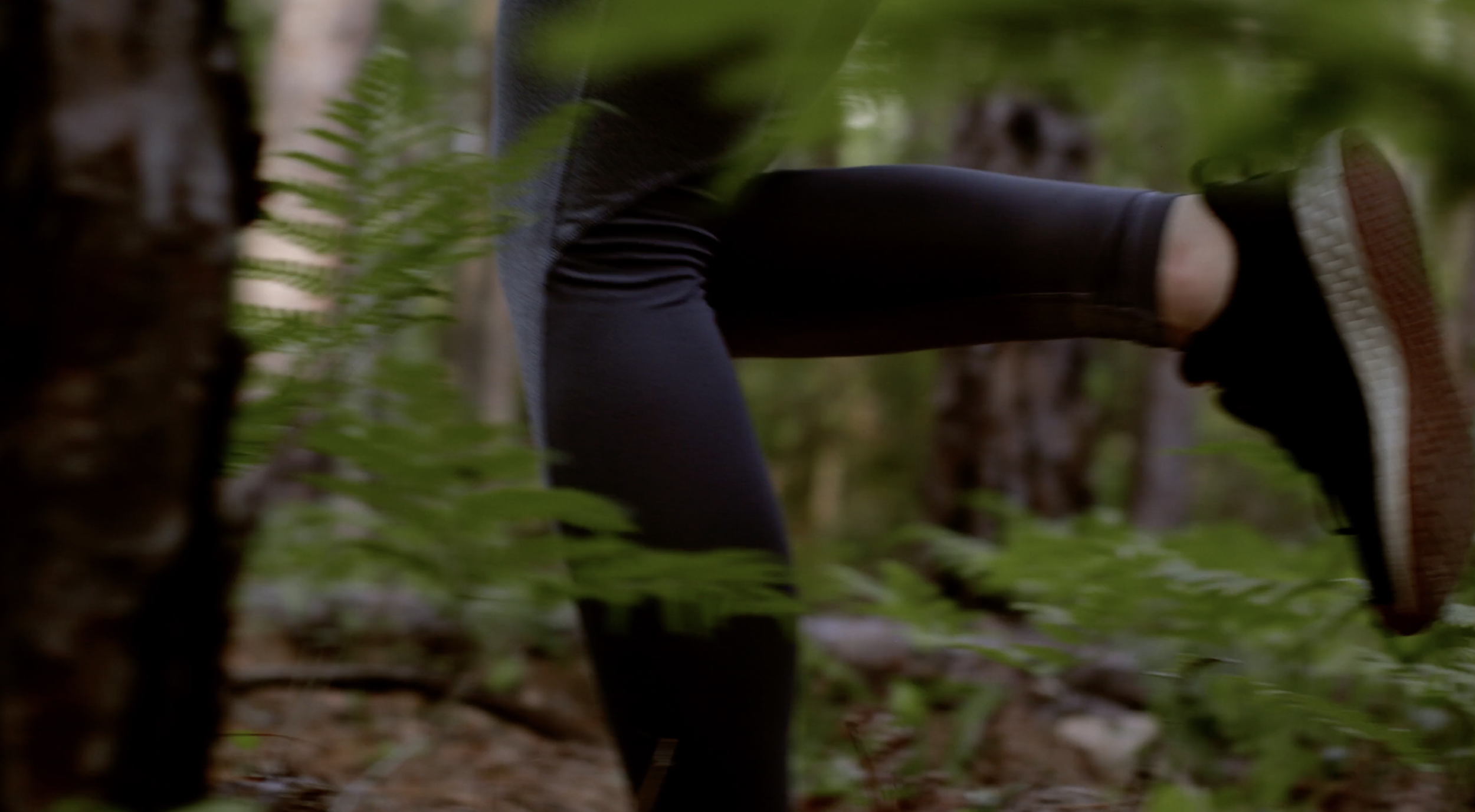 Screen Shot 2022-06-17 at 1.13.10 PM.png