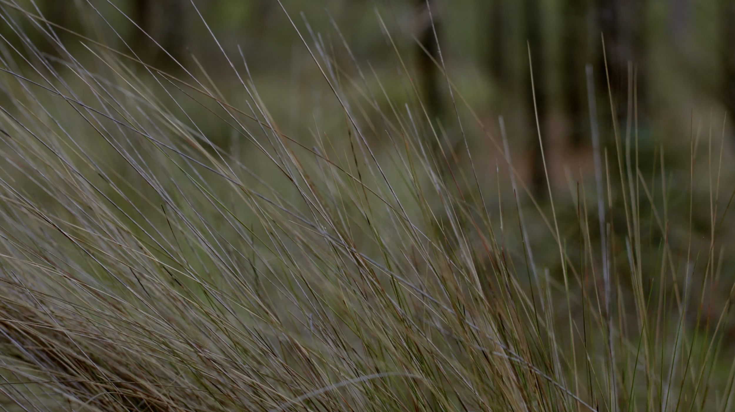 Screen Shot 2022-06-17 at 1.12.26 PM.png