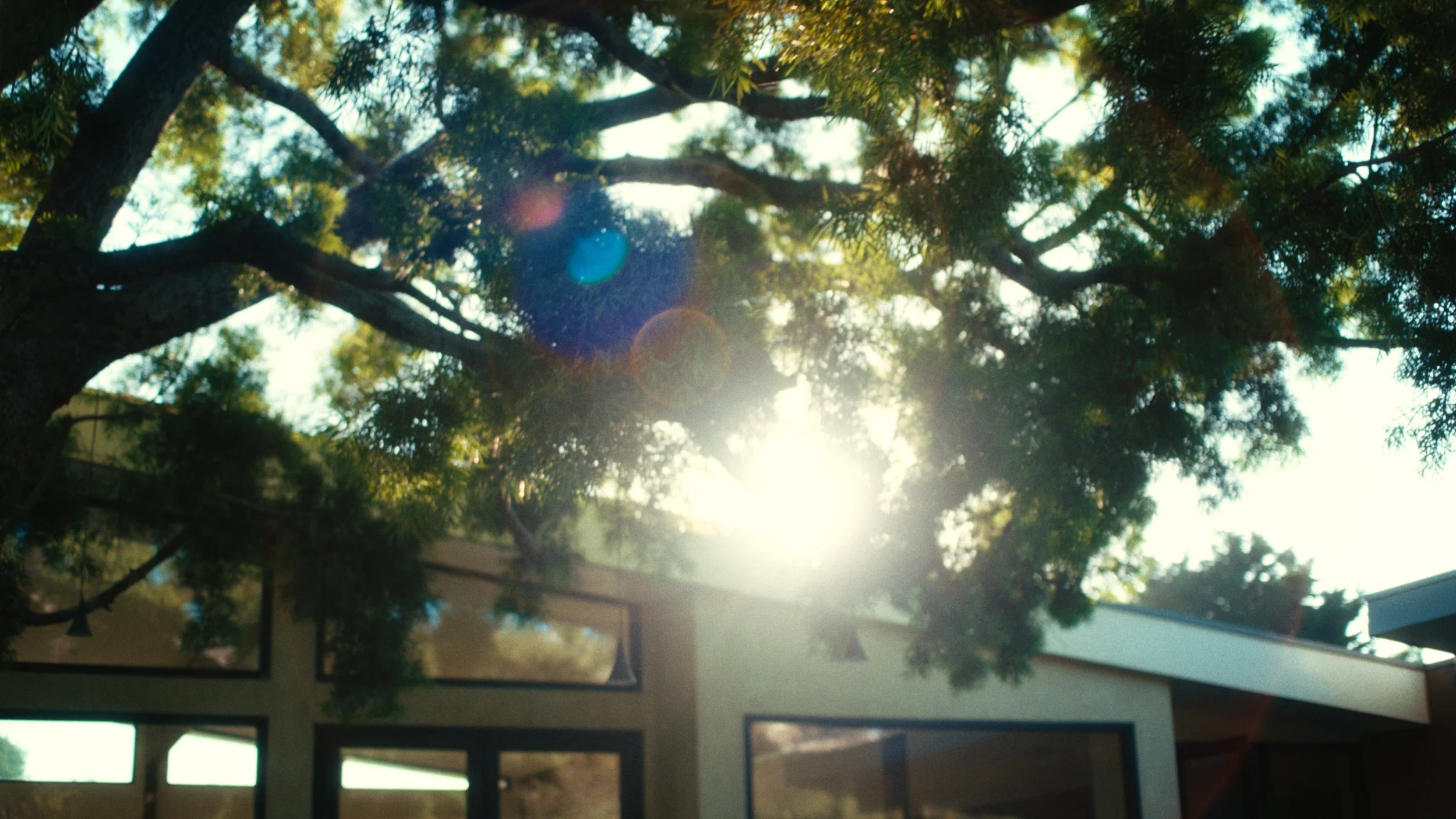 Still 2025-11-21 165337_1.16.2.jpg