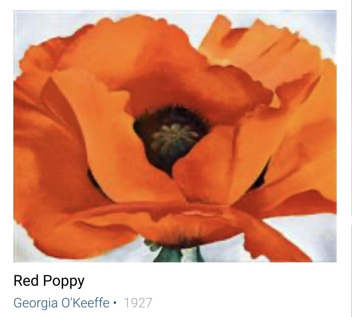 Homage to Georgia O’Keeffe Painting Workshop 