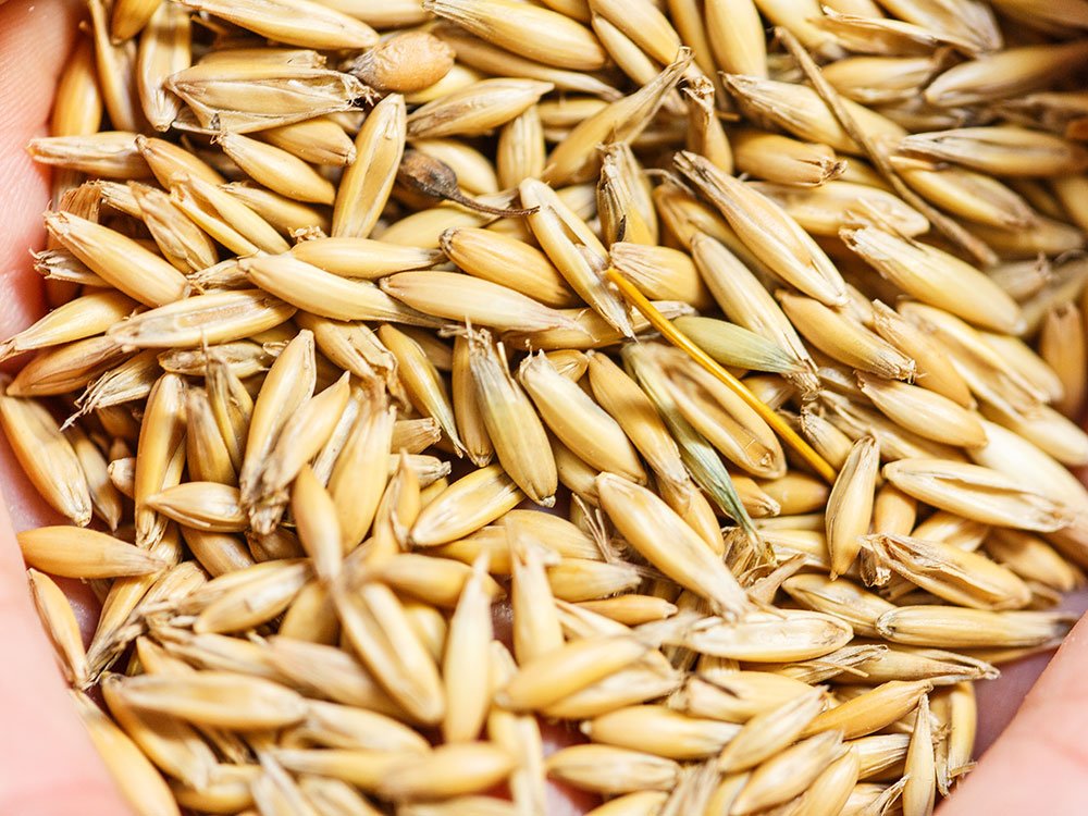 hulme seed-oats.jpg