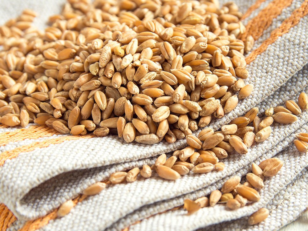 hulme seed-wheat.jpg