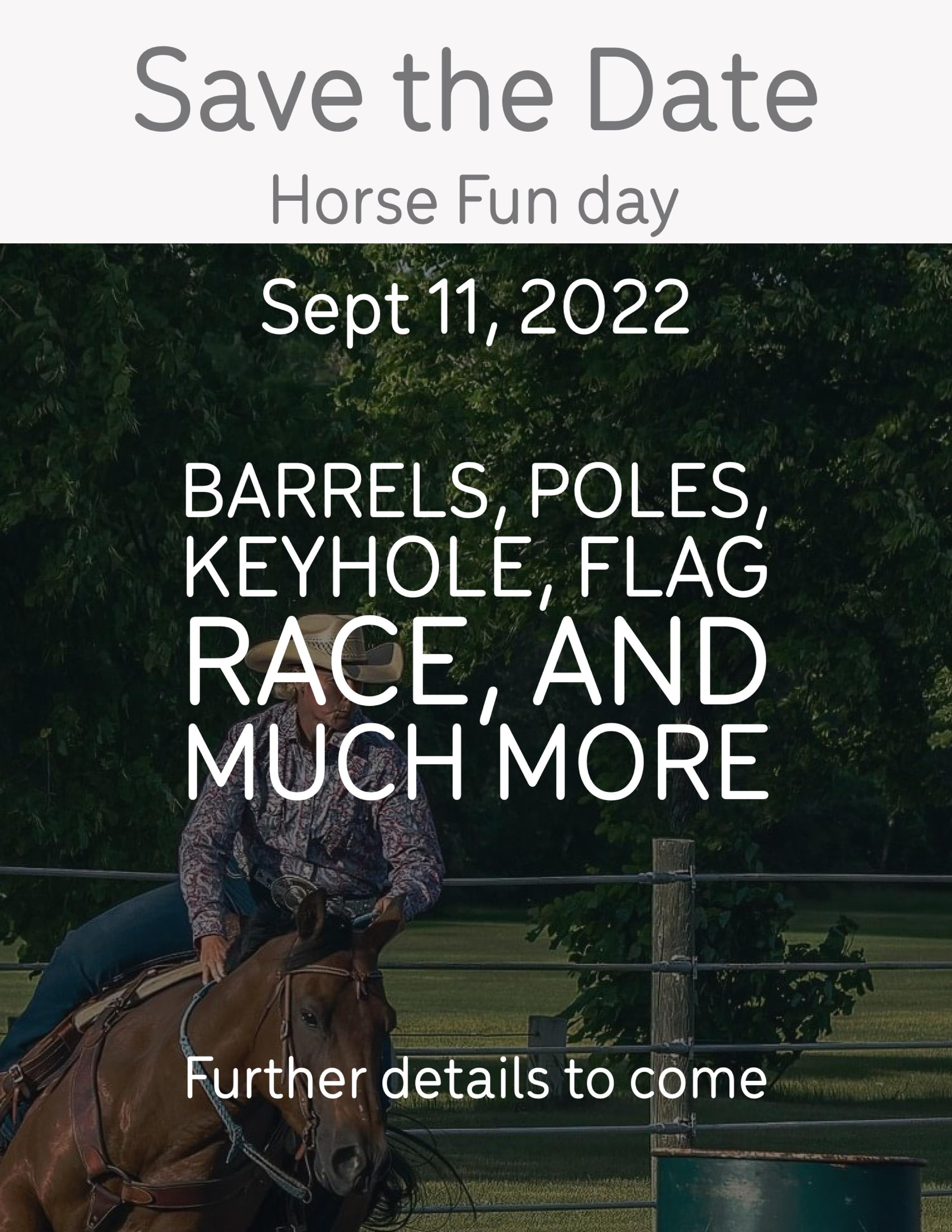 horse games.jpg