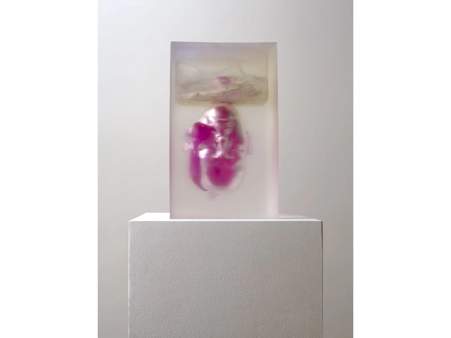 02+Pondick+Upside+Down+Magenta+(RP-177).jpg