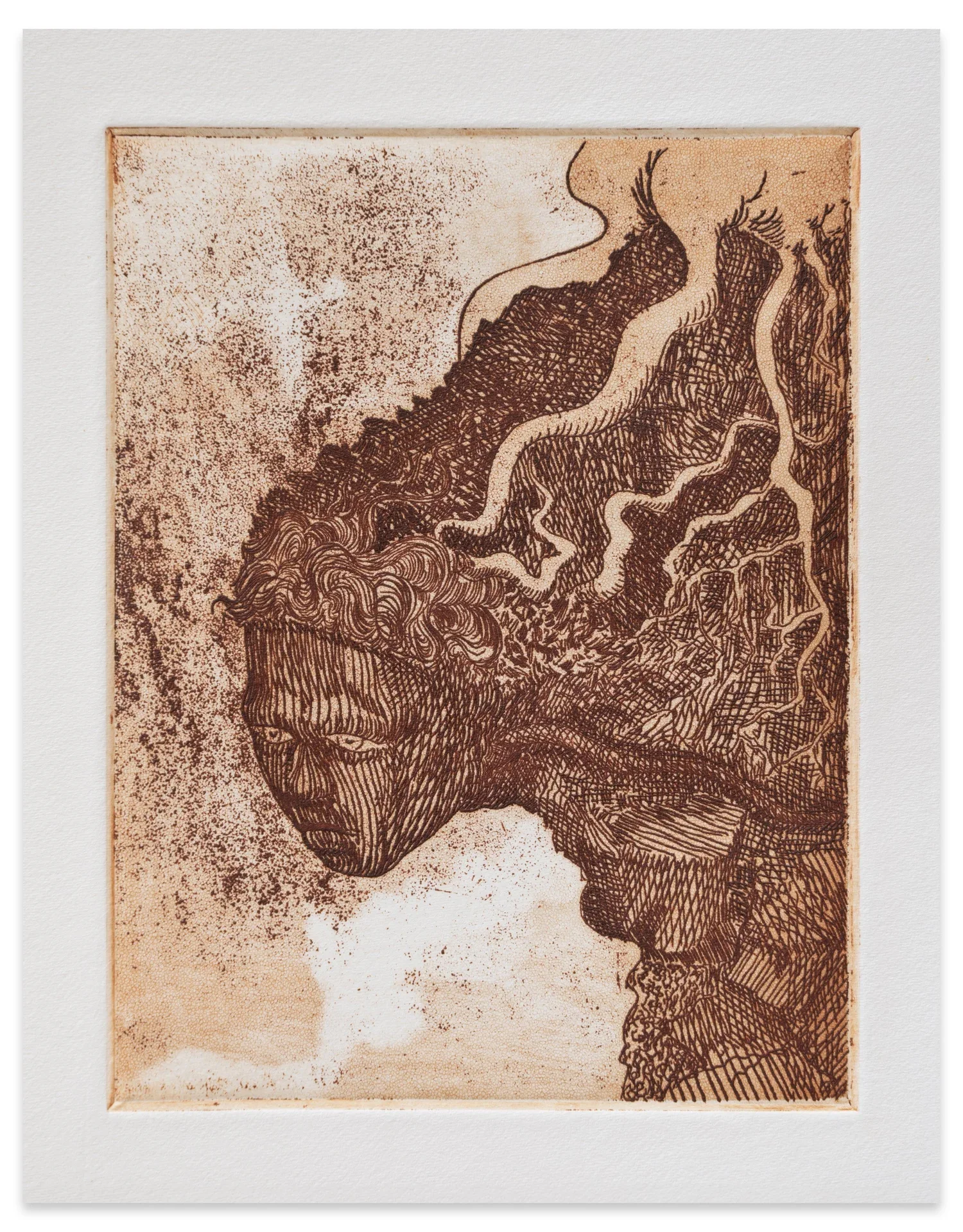 ALEX JACKSON
Rhizome, 2023
Etching and aquatint on paper 
Sheet size: 9.875 x
13.875” Plate size: 4.75 x
6.25” Edition of 20 + 5 AP